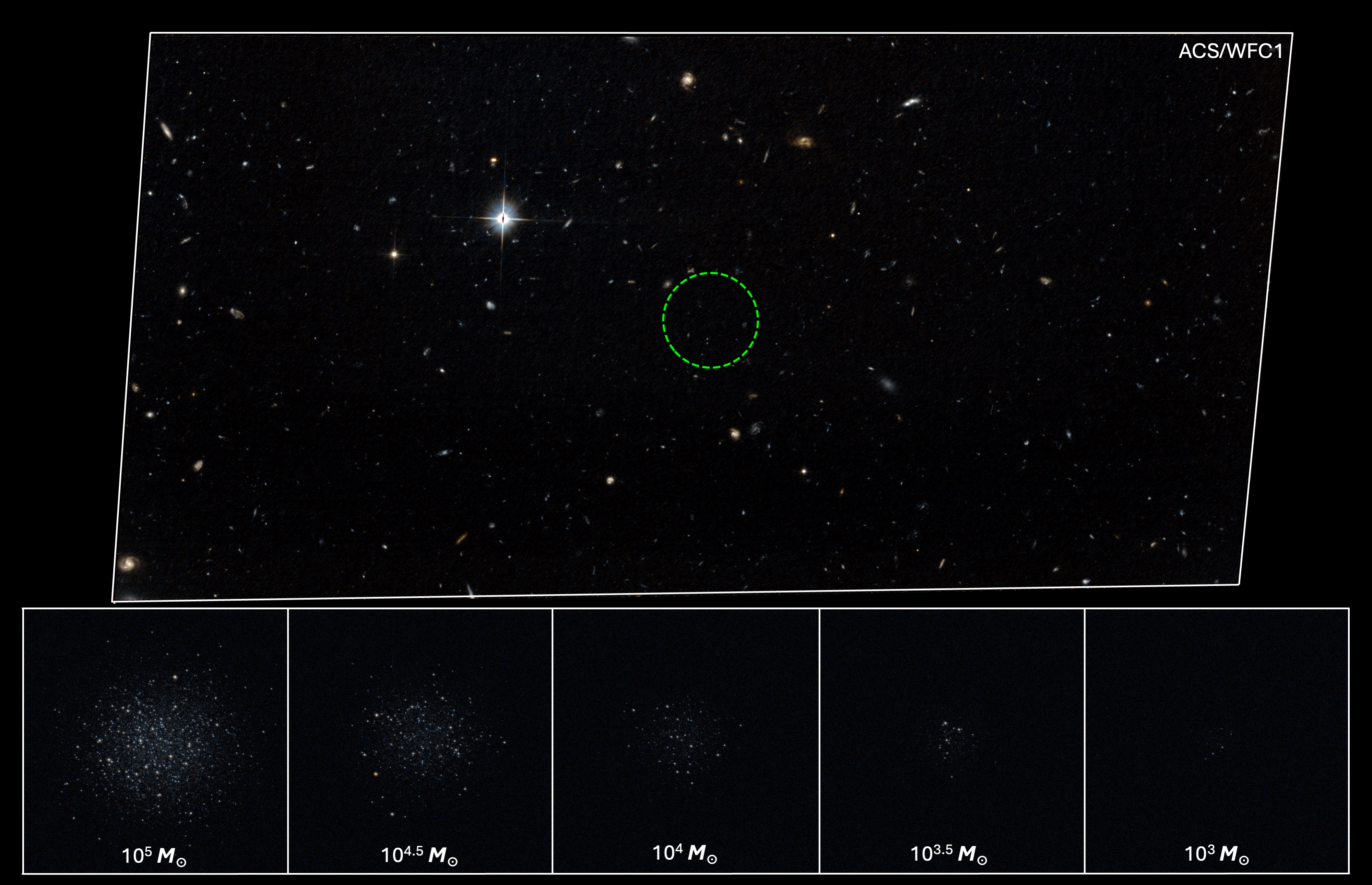 A color composite of our ACS/WFC1 imaging (∼202′′×100′′). The green circle (r=8.4′′) marks the VLA H I maximum column density, with a radius corresponding to the effective radius of a Leo T analog at the distance of M94.