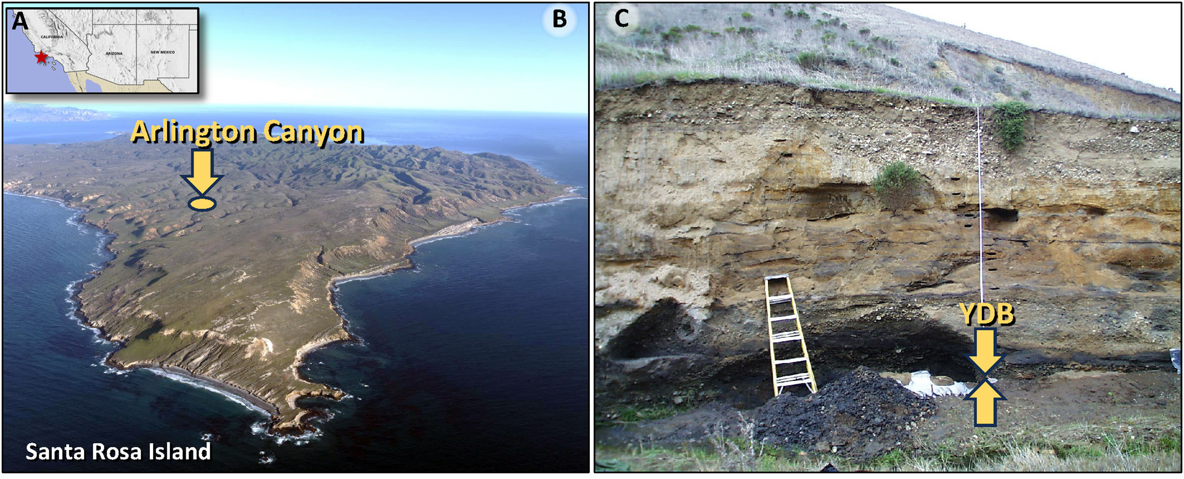 This figure summarizes the stratigraphic context and proxy evidence for a potential Younger Dryas impact event near Arlington Canyon, a well-dated coastal site on Santa Rosa Island.