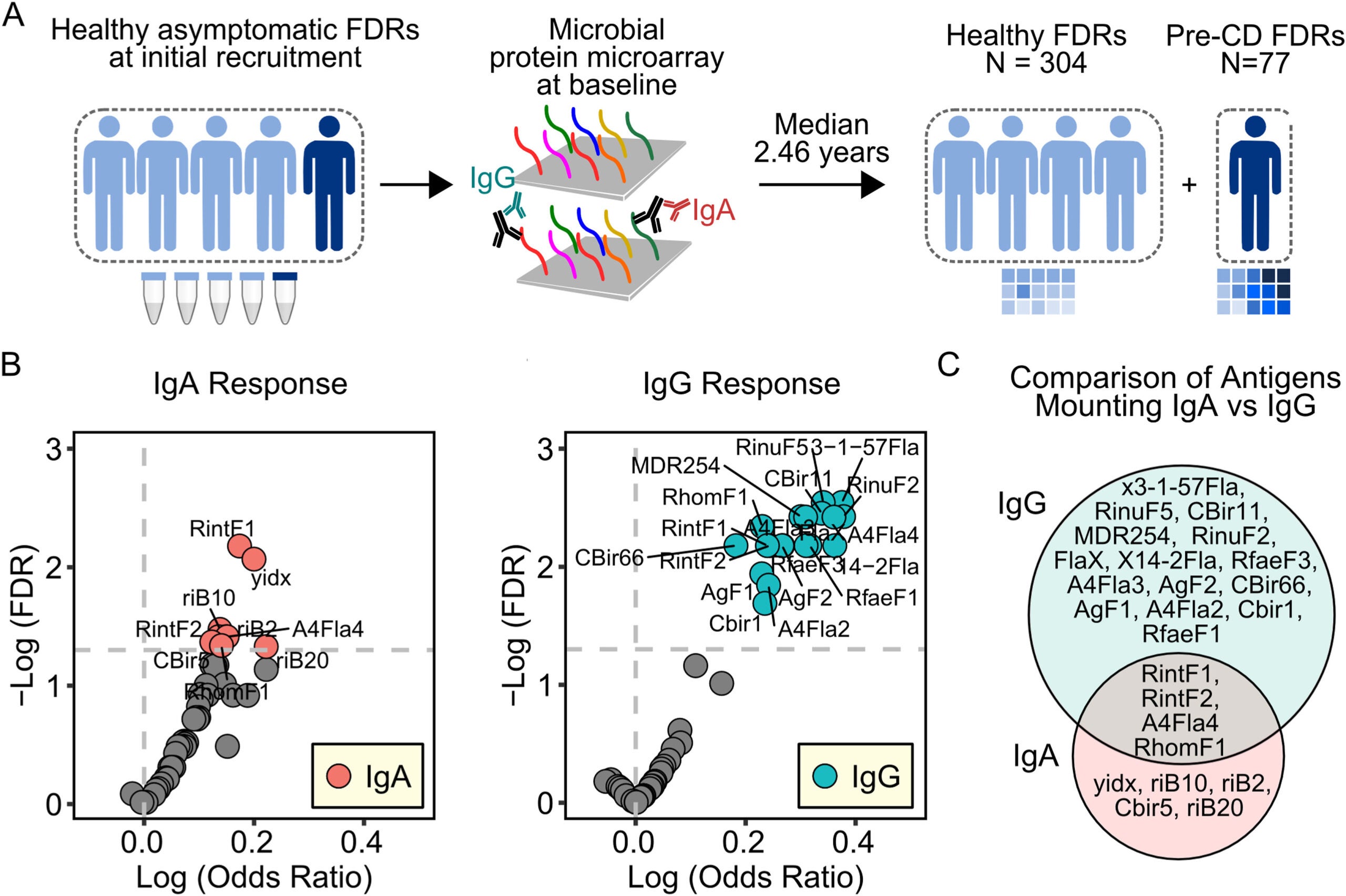 Study schematic of the nested cohort and the antimicrobial antibody response in pre-CD FDRs vs healthy FDRs.