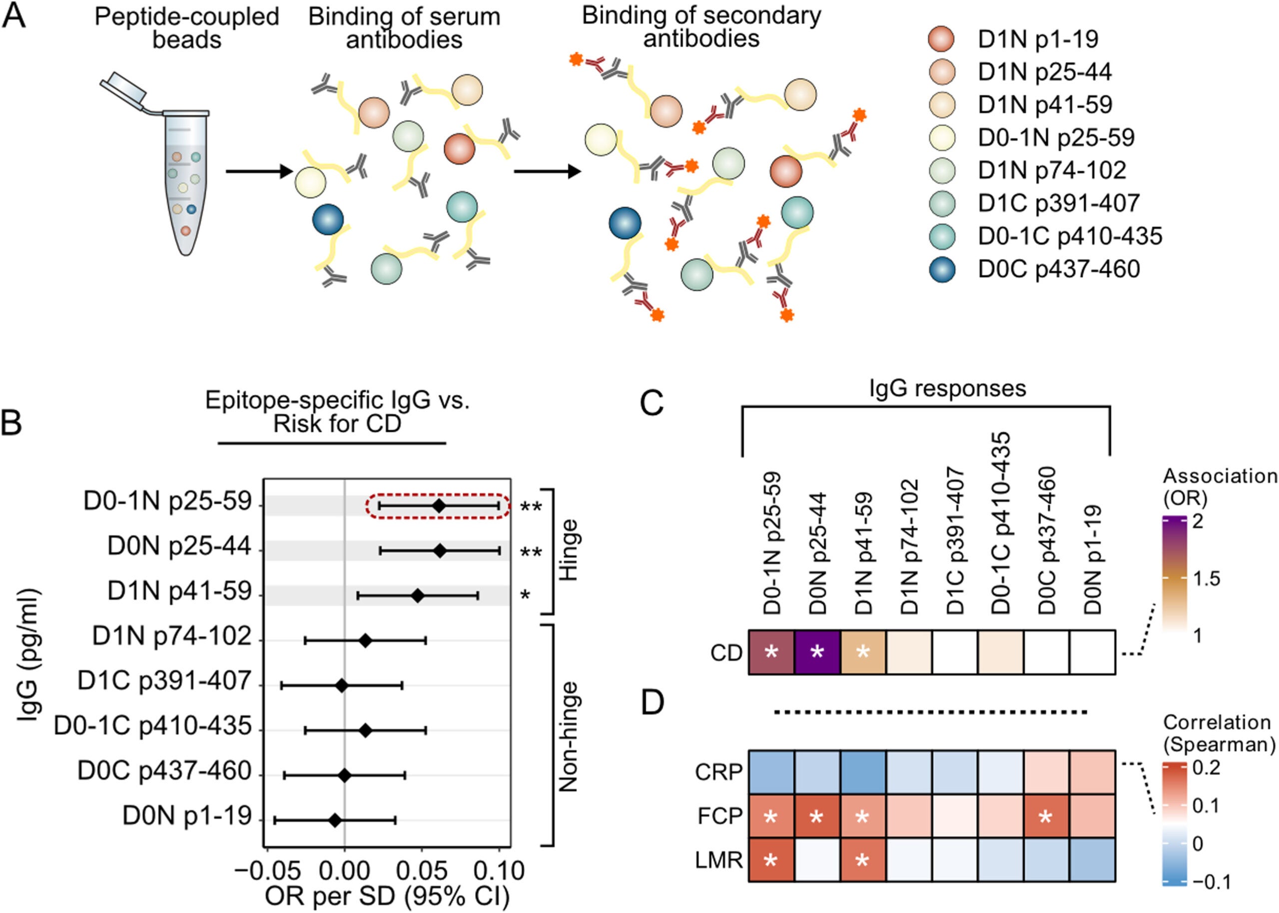 Seroreactivity to the hinge peptide of D0-1 domains of Lachnospiraceae flagellin correlates with future risk of CD.