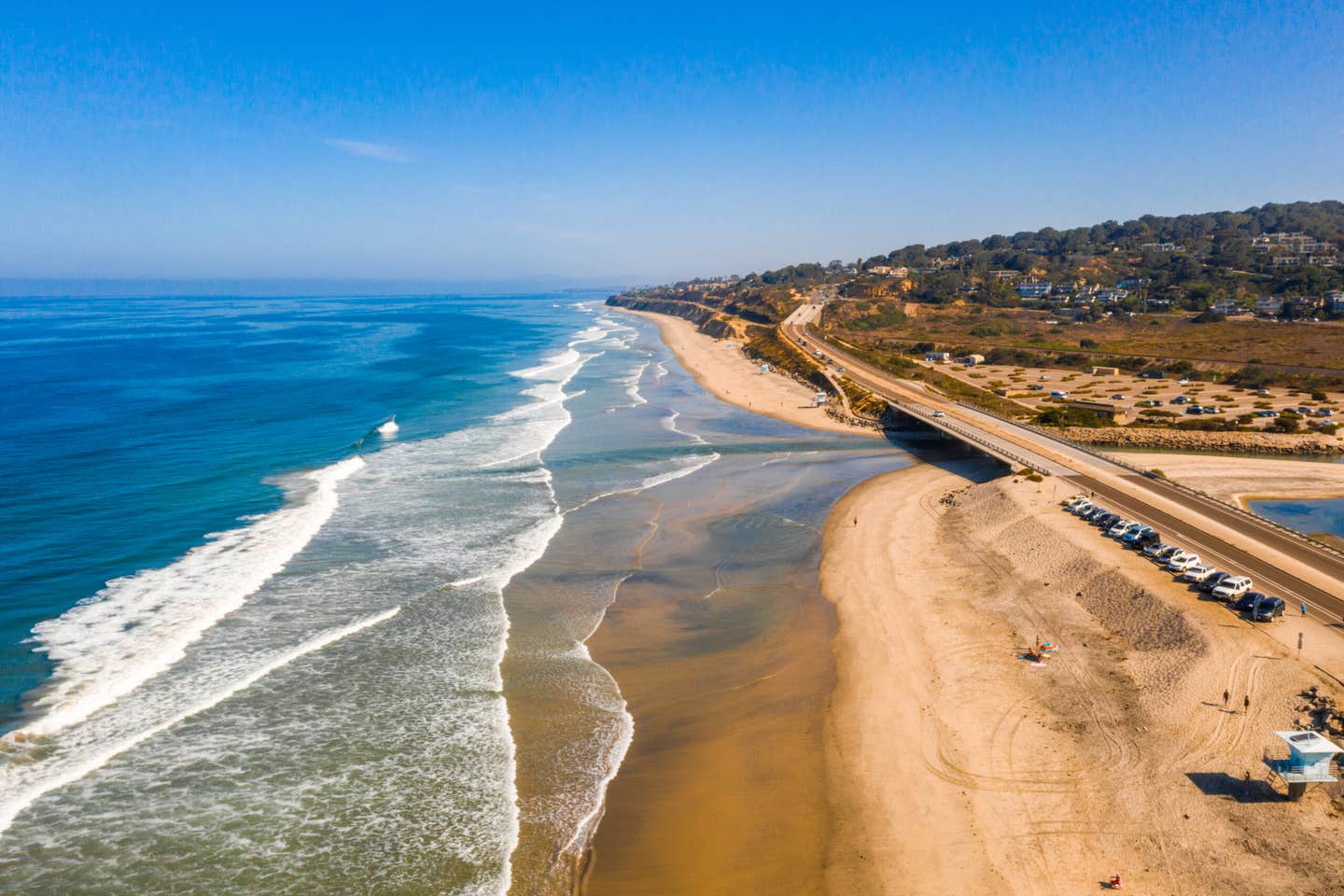 A Science study using 300,000 fossils finds east-west coastlines trapped species at one latitude, raising extinctions over 540 million years.