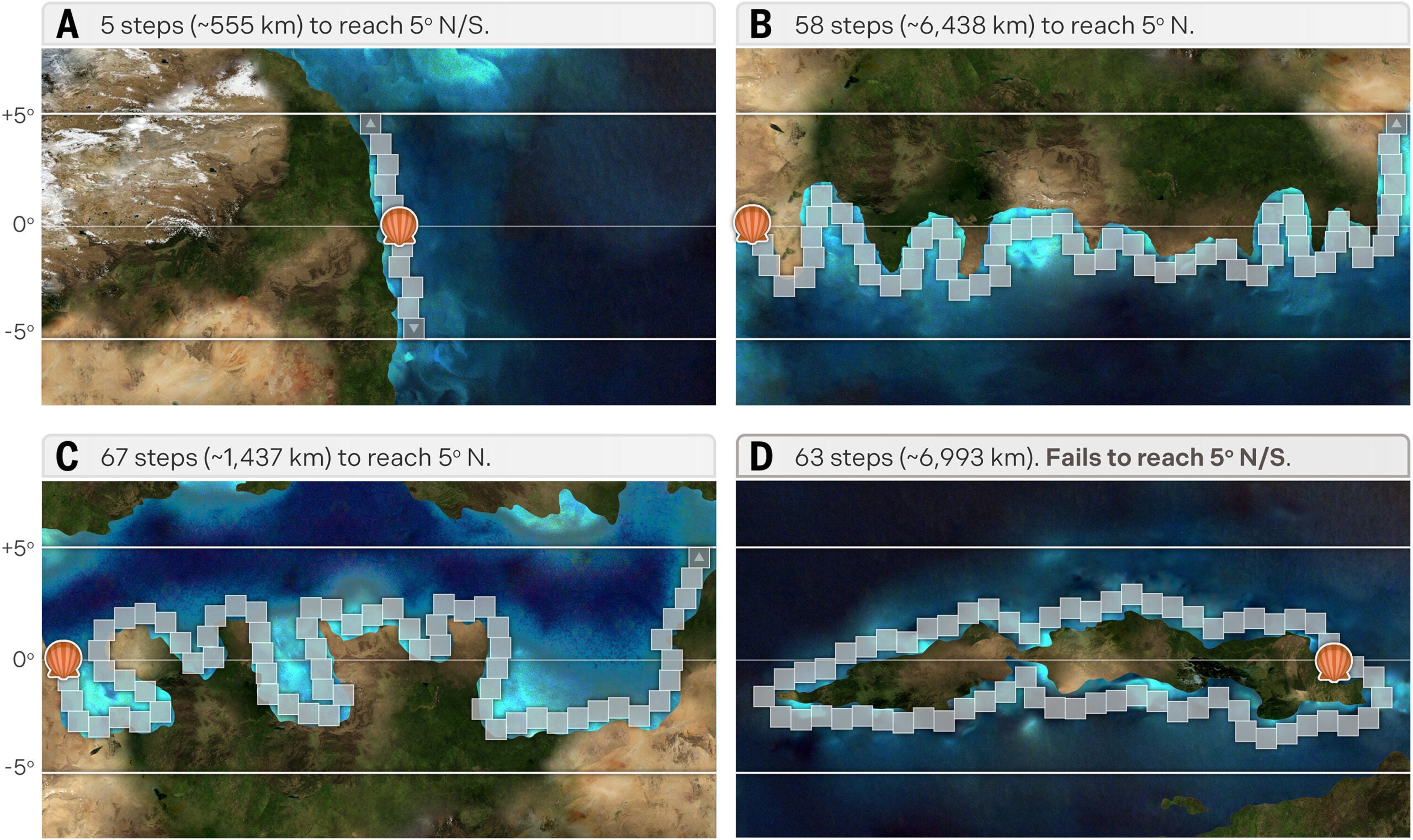 The relationship between coastline geometry and dispersal potential.