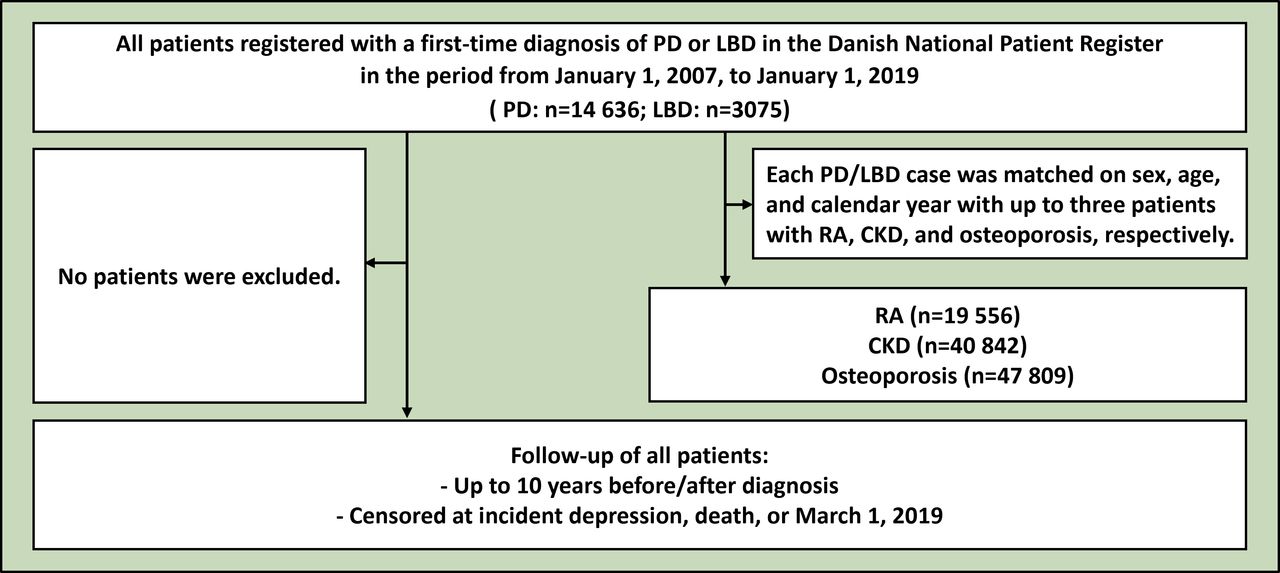 Study flowchart. CKD, chronic kidney disease; LBD, Lewy body dementia; PD, Parkinson’s disease; RA, rheumatoid arthritis.