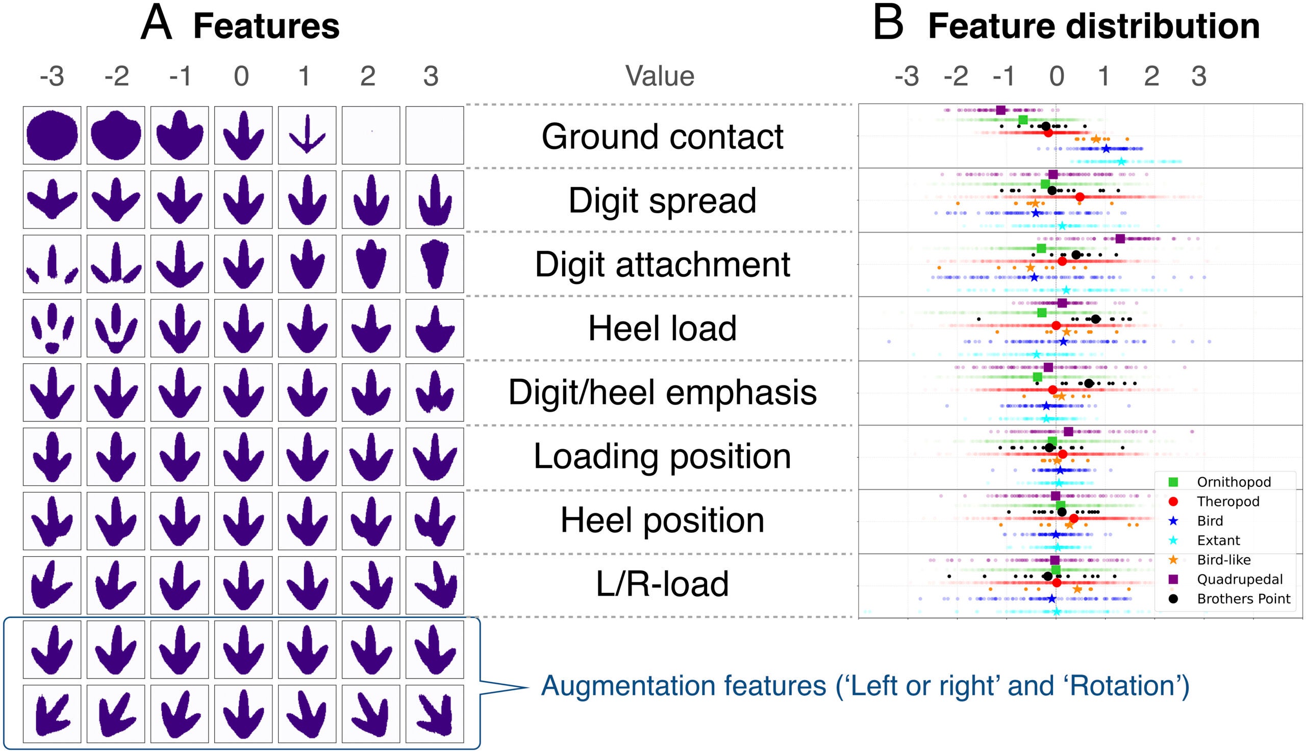 Analysis of the latent space: Ten features are created by the network; these represent the features of maximum independent variation of the tracks. After removal of two related to mirroring and rotation in augmentation, this leaves eight key features in which the tracks vary.