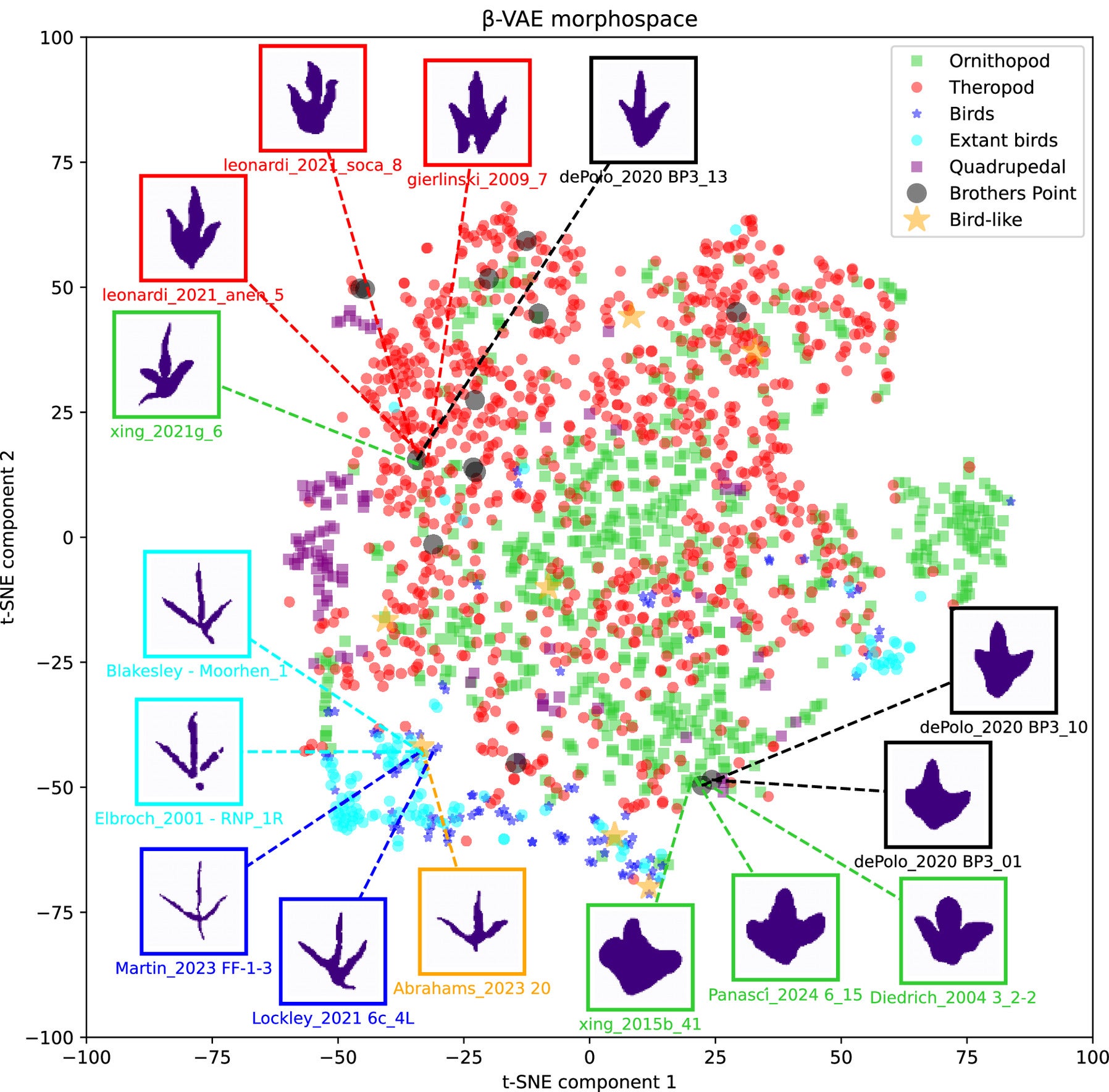 β-VAE morphospace showing the overall spread of variation in the footprints in our database, each assigned to a group a posteriori after the neural network analysis based on expert identification in the literature.