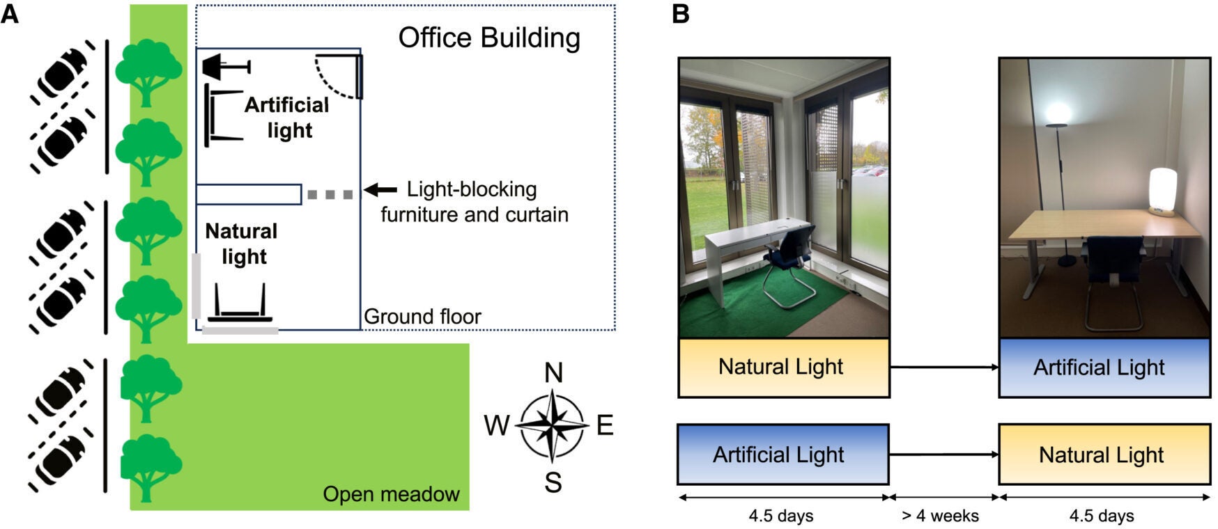 Study design and light condition characteristics
