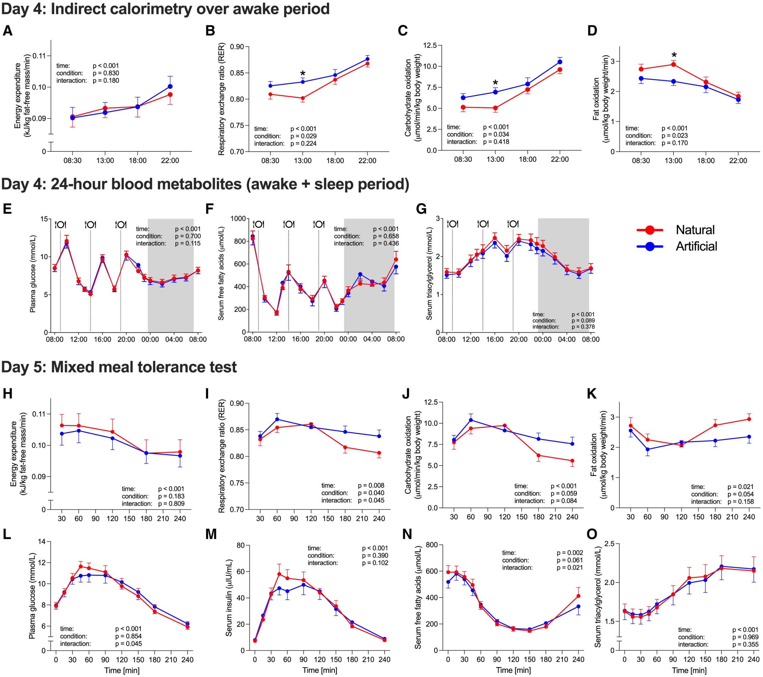 Whole-body indirect calorimetry and blood metabolites