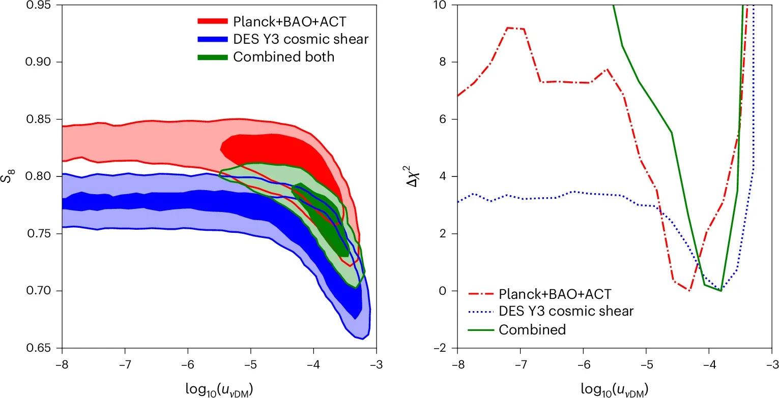 Profile likelihood distribution and marginalized 2D posterior distribution in the (S8, uνDM) plane.