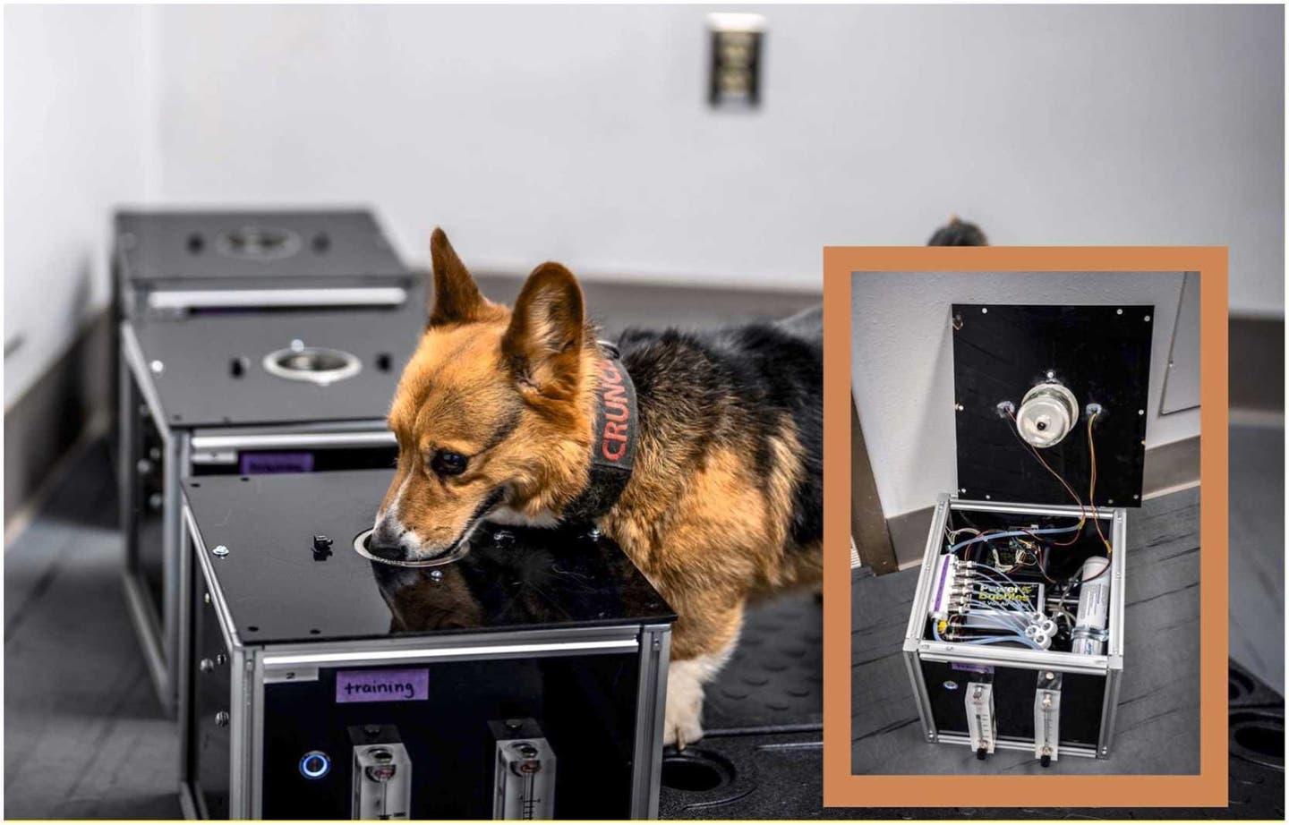 An image of the olfactometer line-up. Embedded image shows the inner workings of the olfactometer.