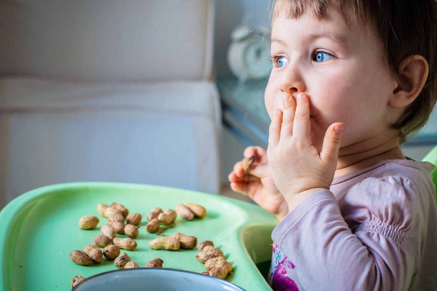 Children only need small daily doses of peanuts to gain protection, study finds