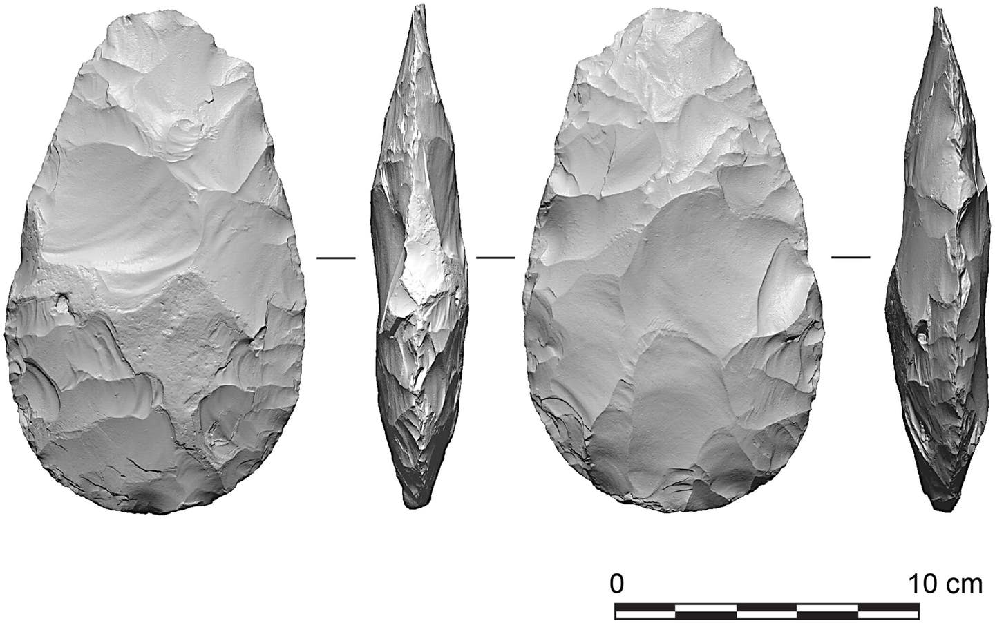 Handaxe from the Boxgrove paleosol horizon (locality Q2/GTP 17).