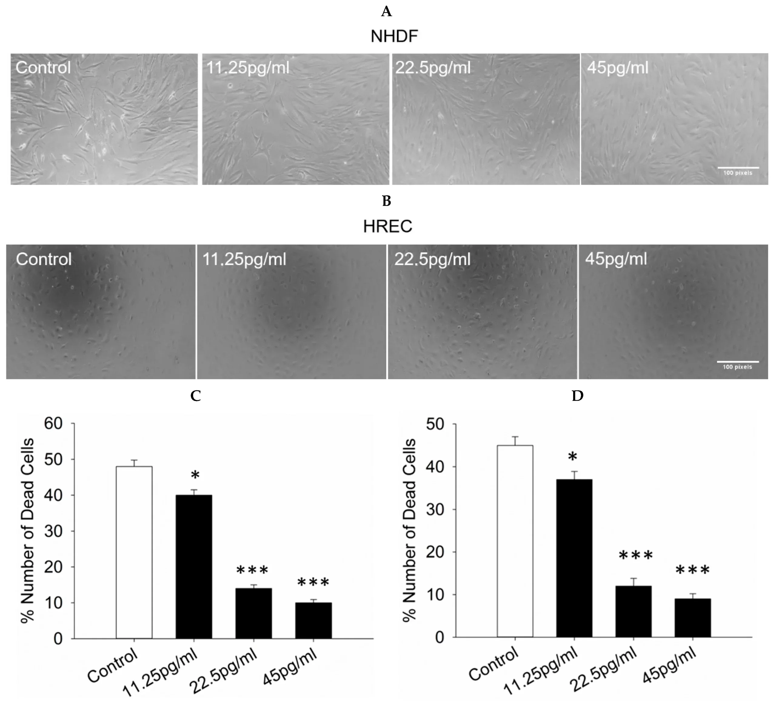 Quantification of dead cells. The number of dead cells among NHDFs and HRECs was assessed after culturing with semaglutide at various concentrations (control: medium only; 11.25, 25.5, and 45 pg/mL) for 24 h.