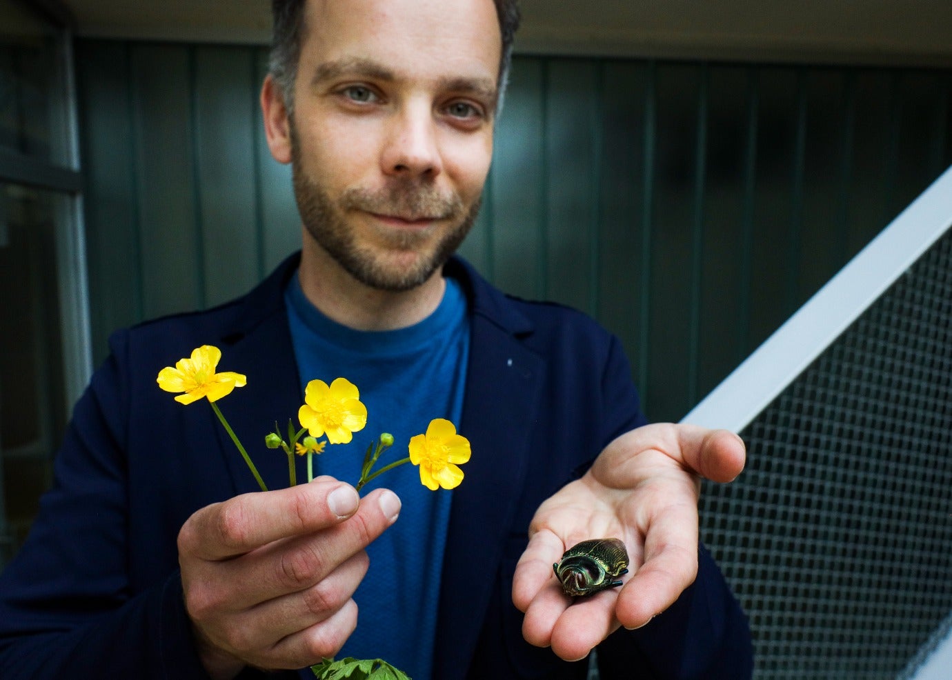Why shiny flowers are rare: bee vision reveals a hidden visual