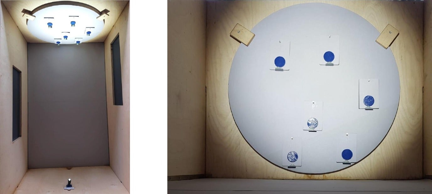 The researchers tested the impact of shininess on visibility for bumblebees in an experimental cage. Full cage left, on the right, a test panel against the ceiling.