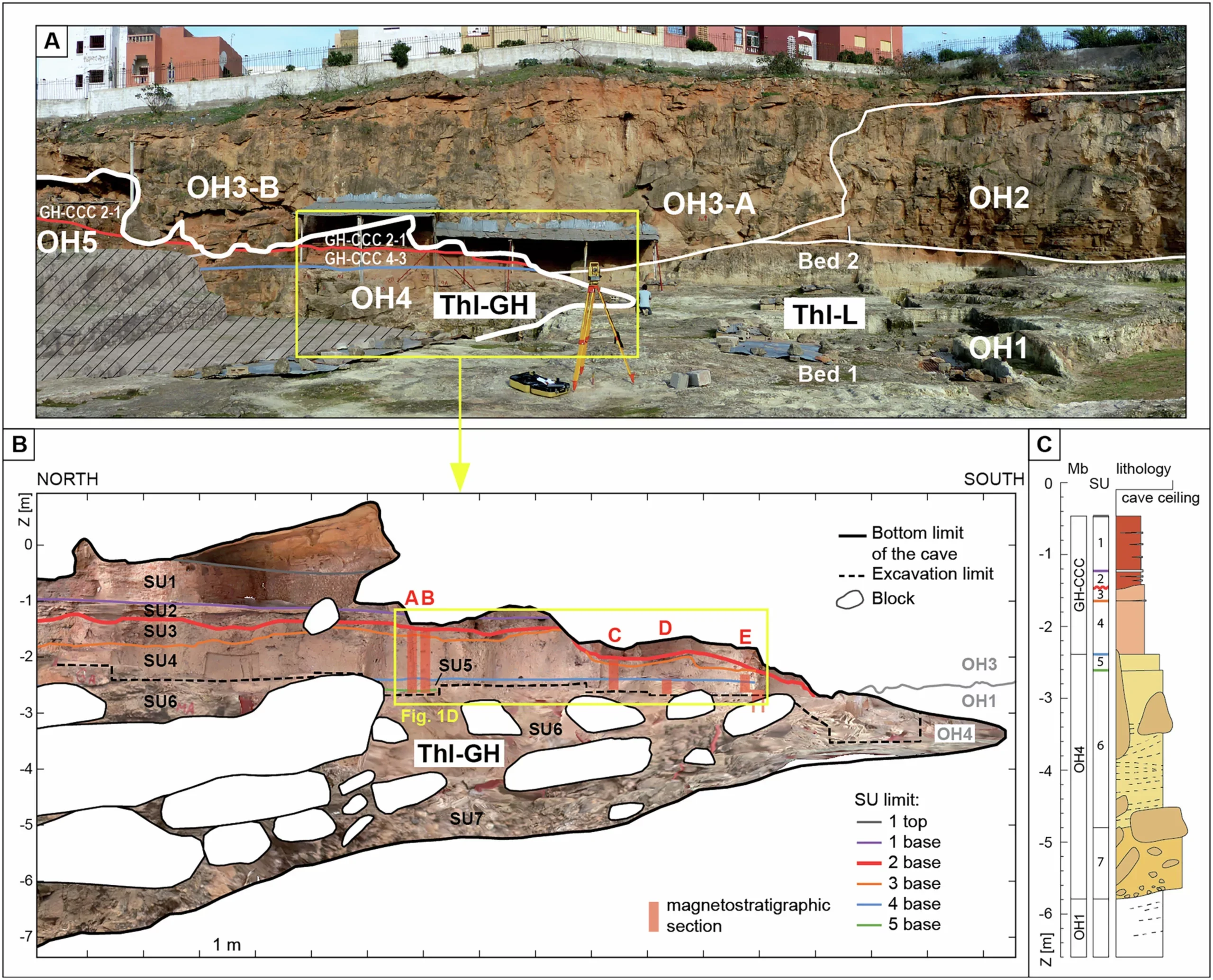 Stratigraphical context of the Grotte à Hominidés (ThI-GH).