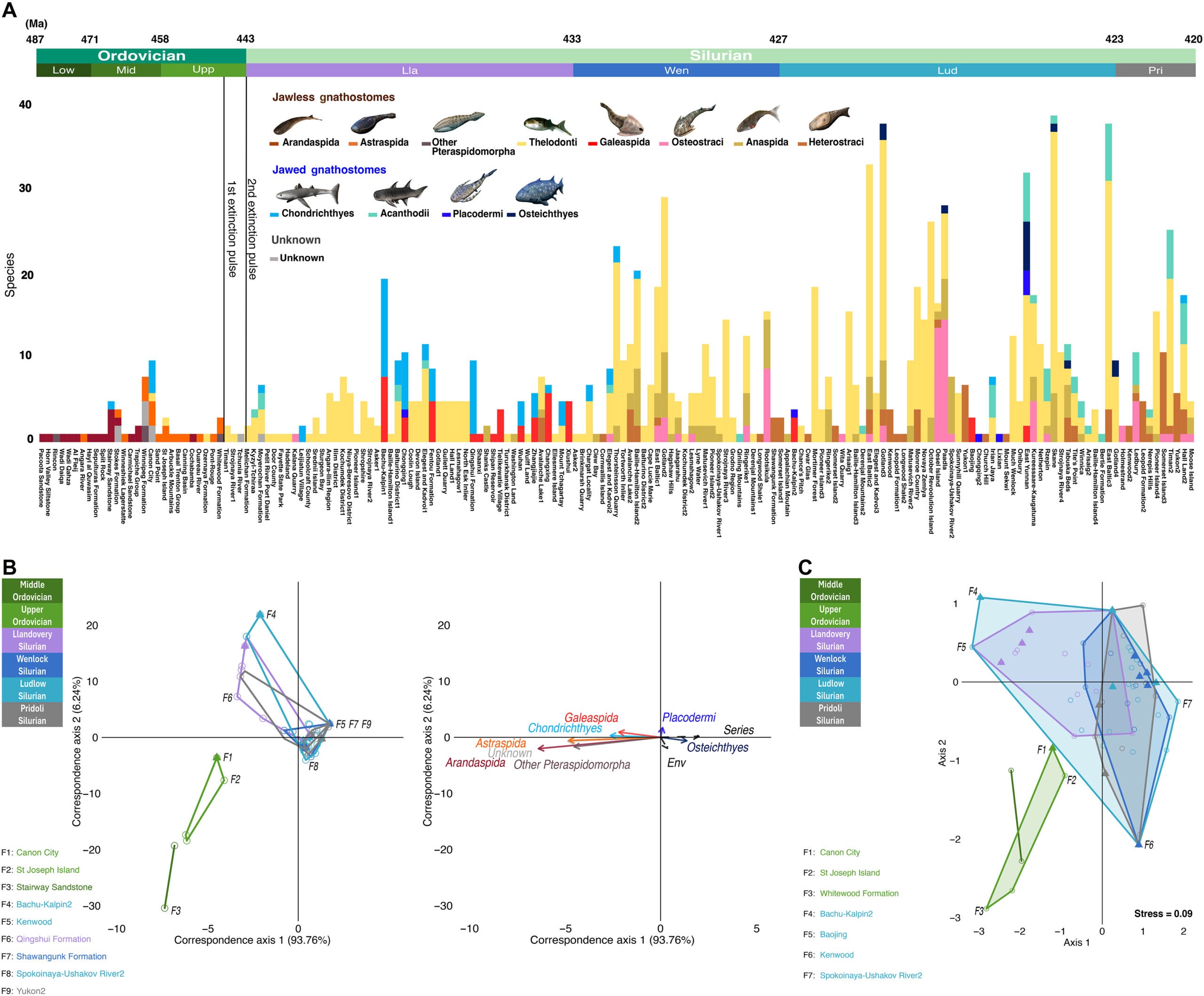 Change in the composition of gnathostome faunas through time.