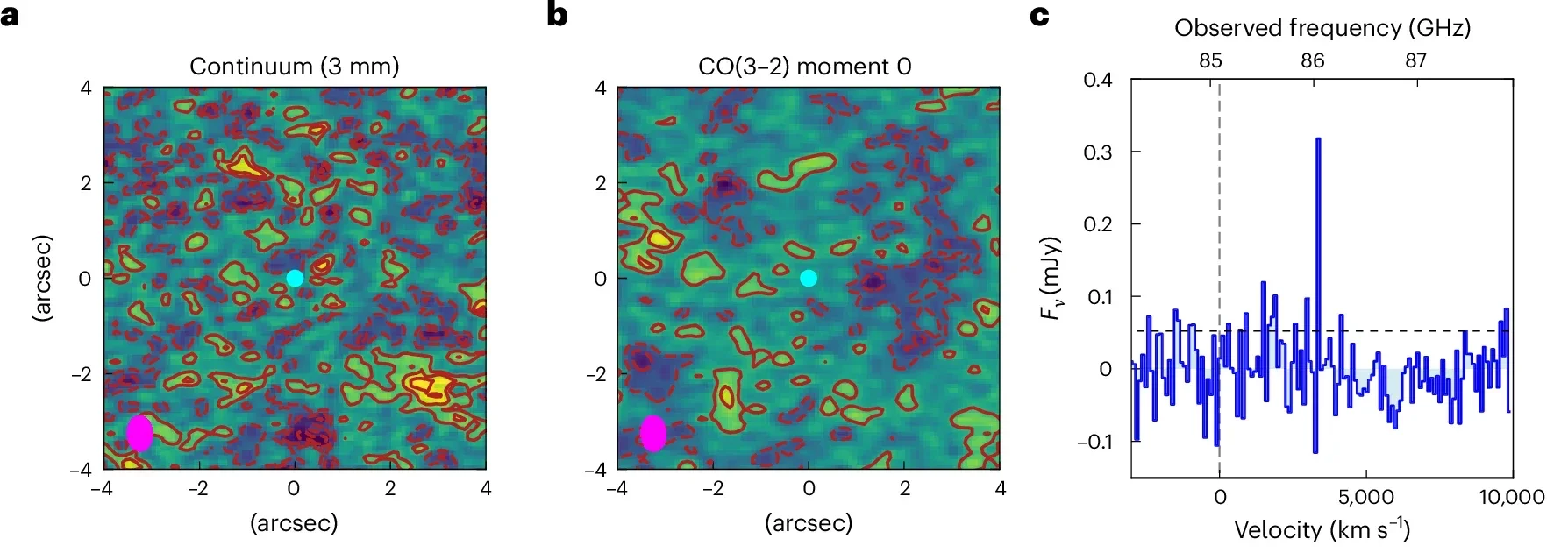 Overview of the ALMA and JWST data.