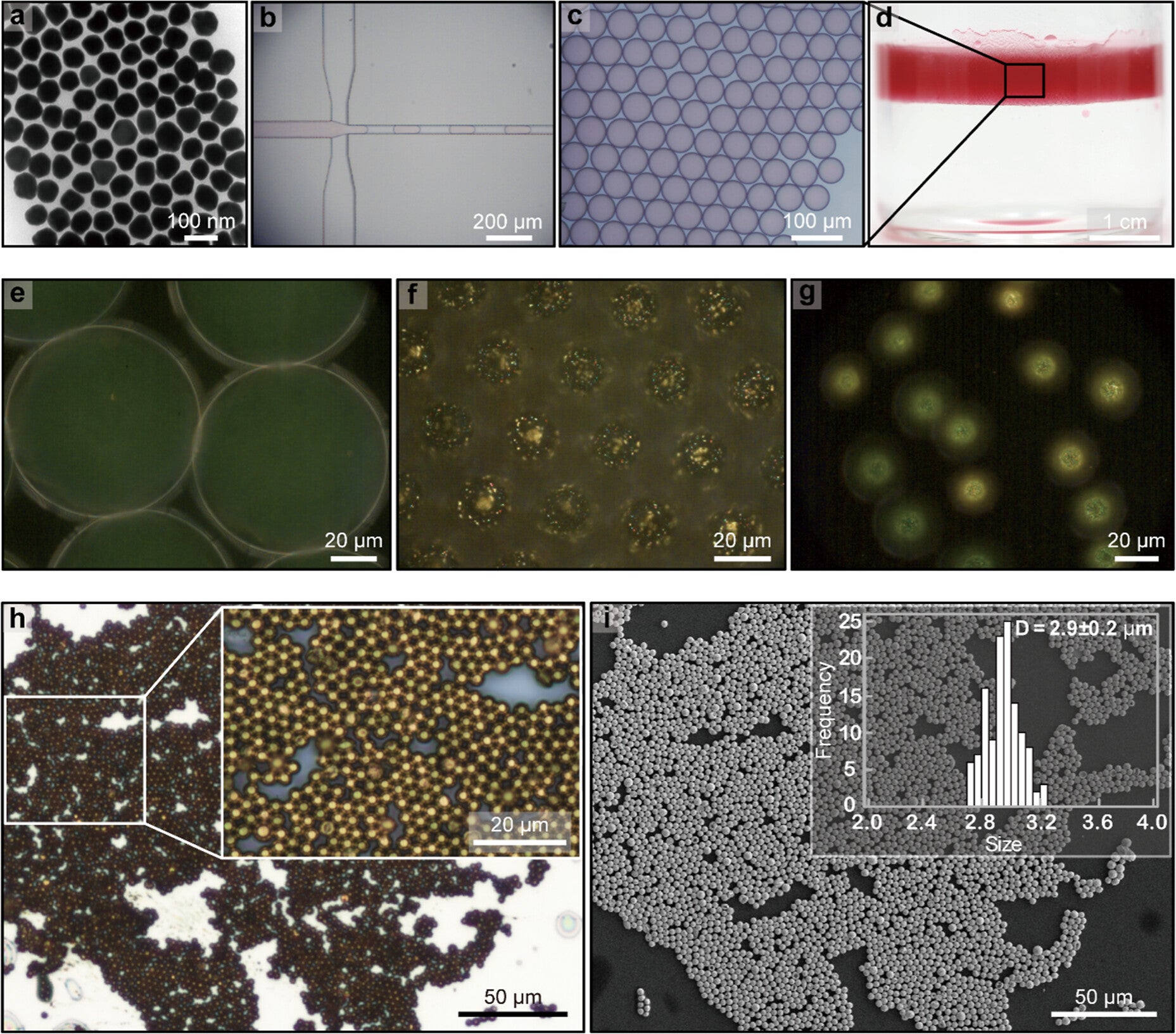 Fabrication of Au NS supraballs via confined self-assembly of PEGylated Au NSs.