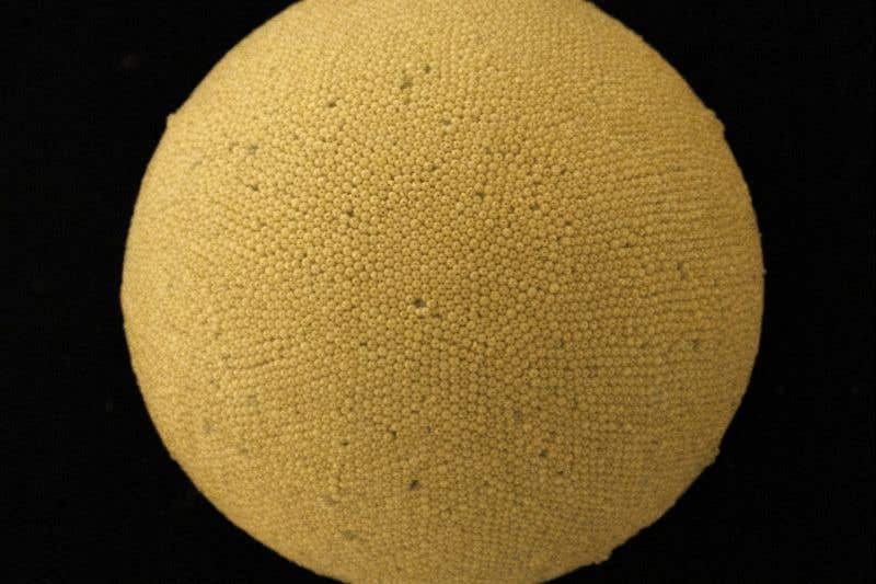 Gold supraballs absorb most sunlight, boosting thermoelectric output and pointing to simpler, high-efficiency solar coatings.