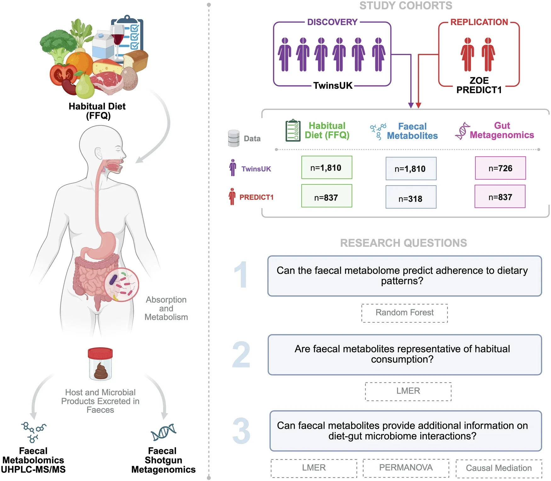 Faecal metabolites act as a readout of habitual diet and bridge the gap between diet and the gut microbiome.
