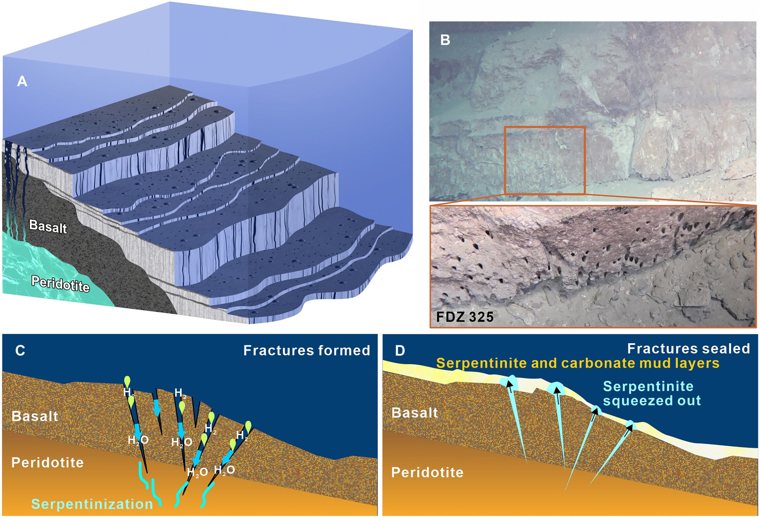 Mud layers in the east Caroline plate near the Mussau Trench and the formation model of mud layers.