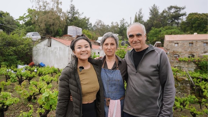 In 2009, at least 124 people aged 90 and above were confirmed alive in Ikaria, with a prevalence far above the Greek mainland.