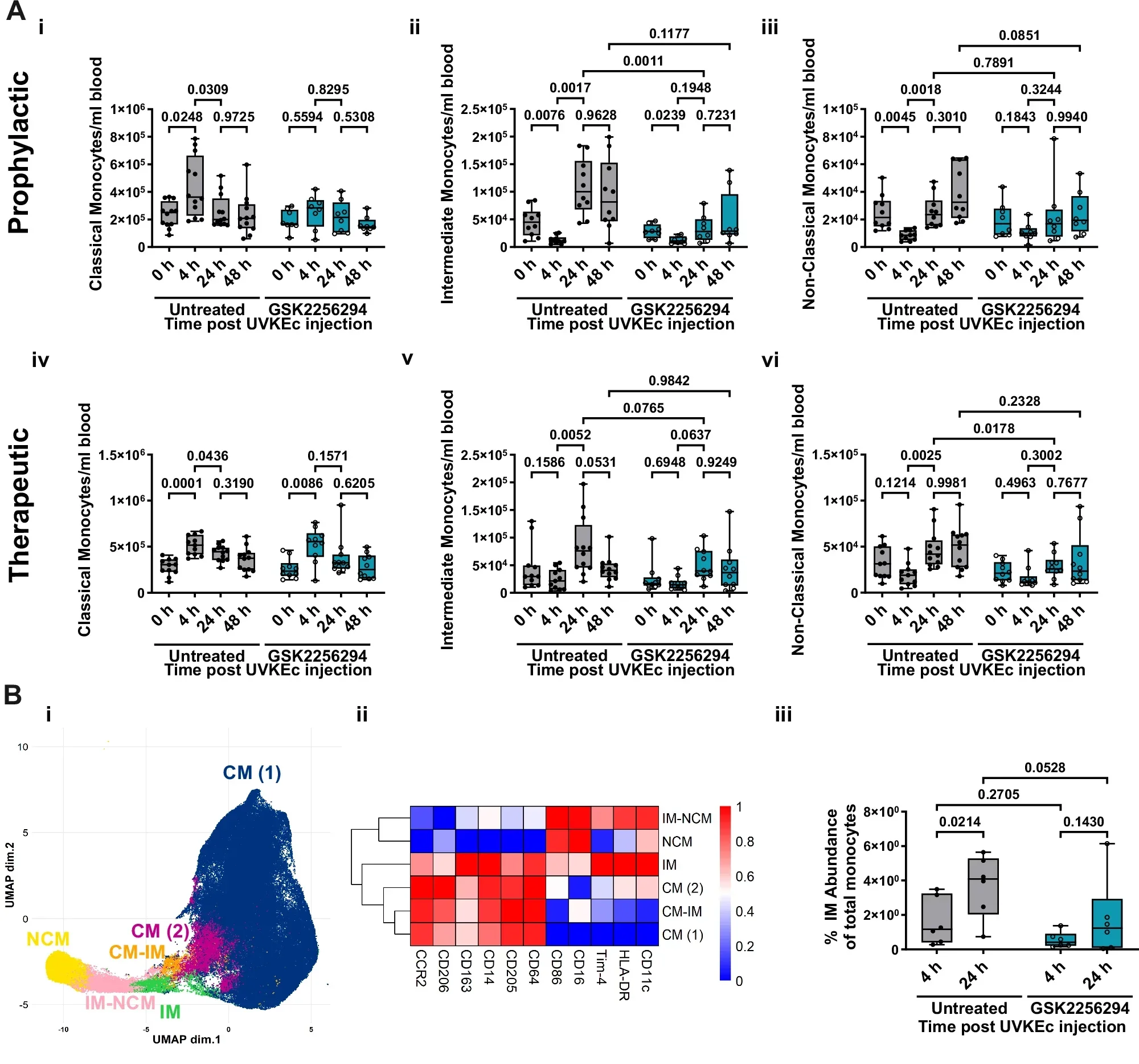 sEH inhibition both prophylactically and therapeutically inhibits the expansion of intermediate monocytes.