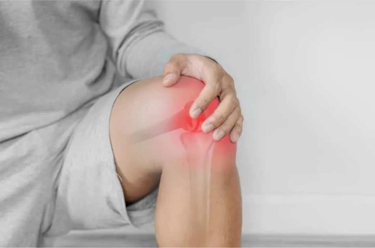 Blocking a key aging enzyme helps regrow knee cartilage, study finds