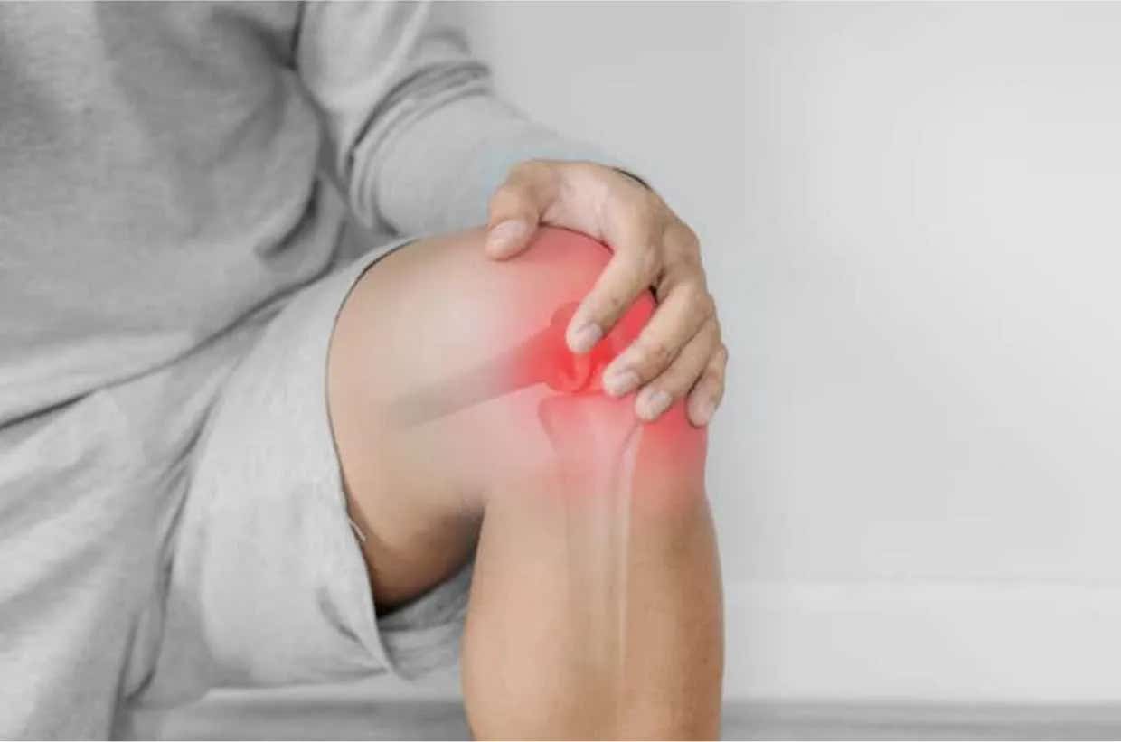 Stanford-led study finds aging protein blocker regrows knee cartilage