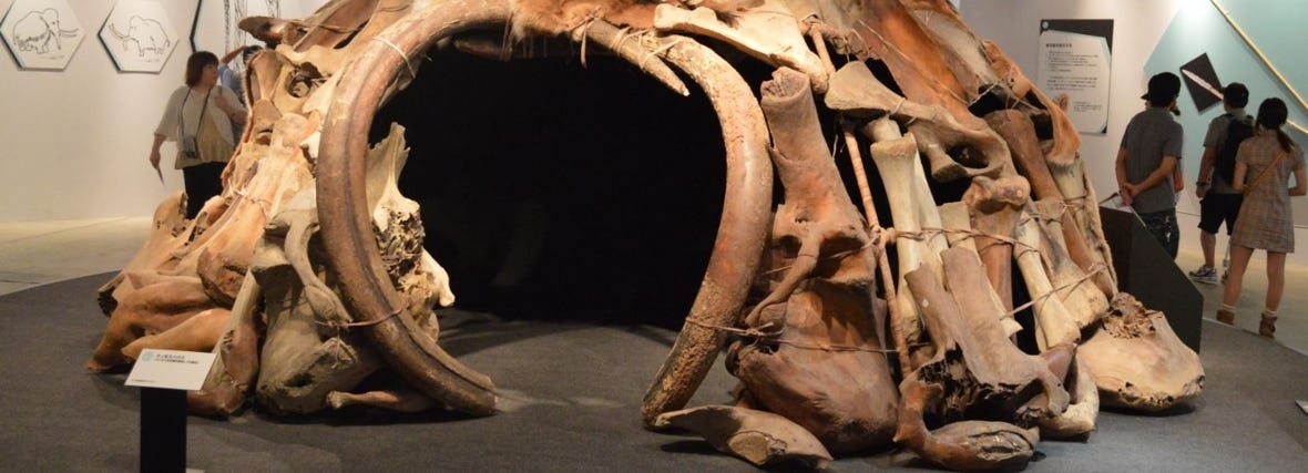 New radiocarbon dates show Ukraine’s mammoth bone shelters were used briefly around 18,000 years ago