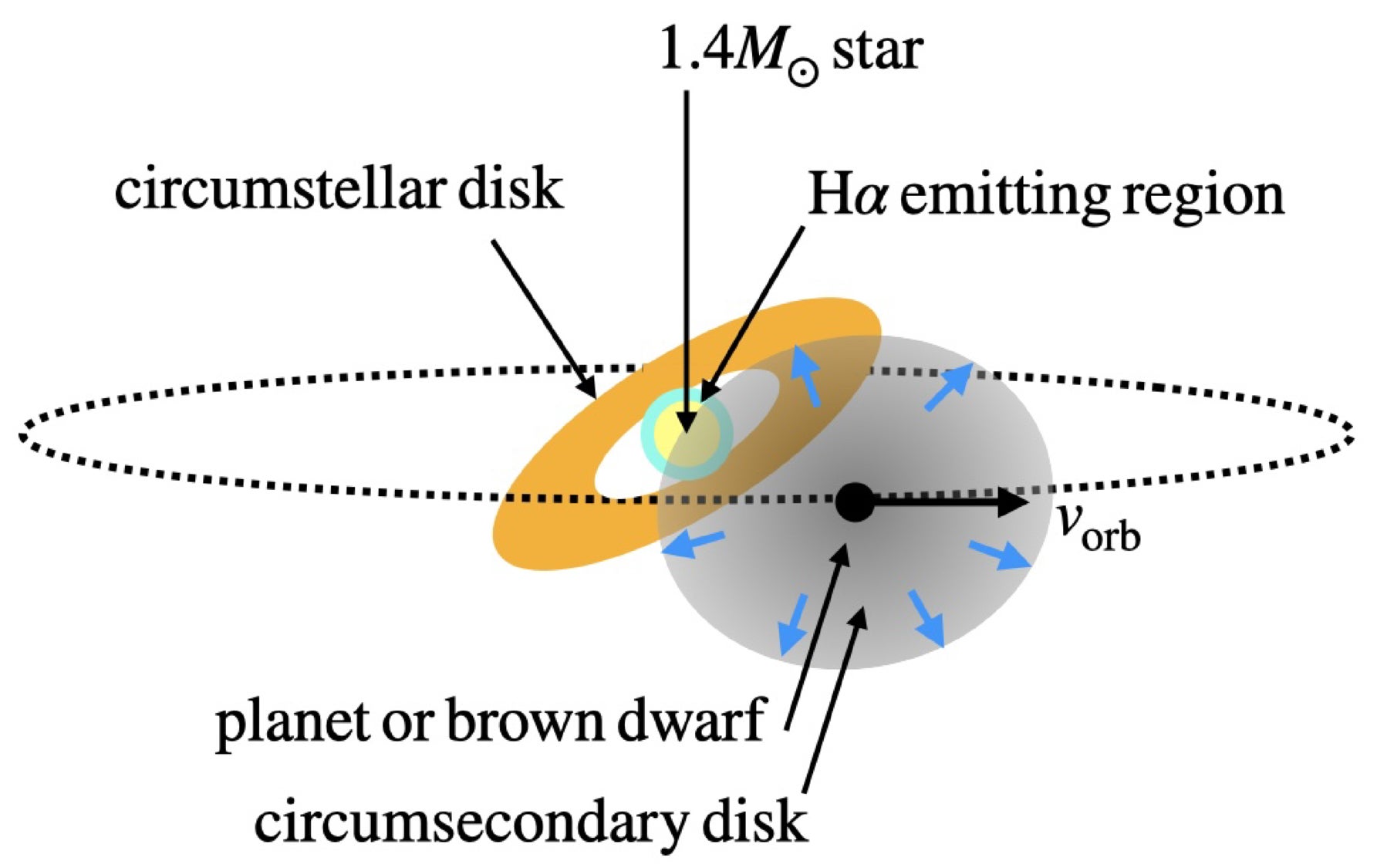 A schematic representation of our model for J0705+0612 (not to scale). The star (yellow) and the broad Hα emission (cyan) are the most compact sources of emission.