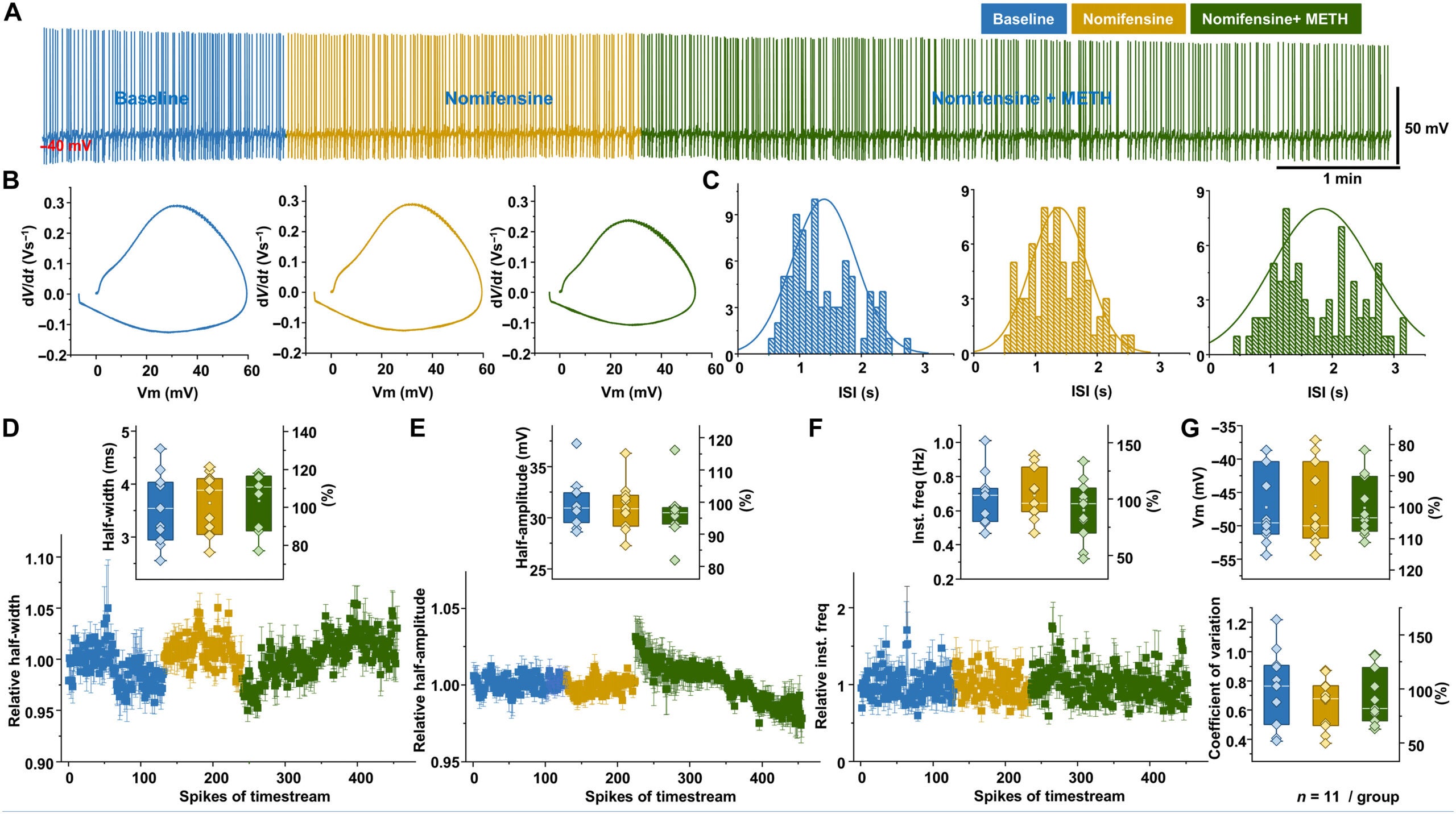 Inhibiting dopamine transporters blocked METH regulation of VTA dopamine neurons.