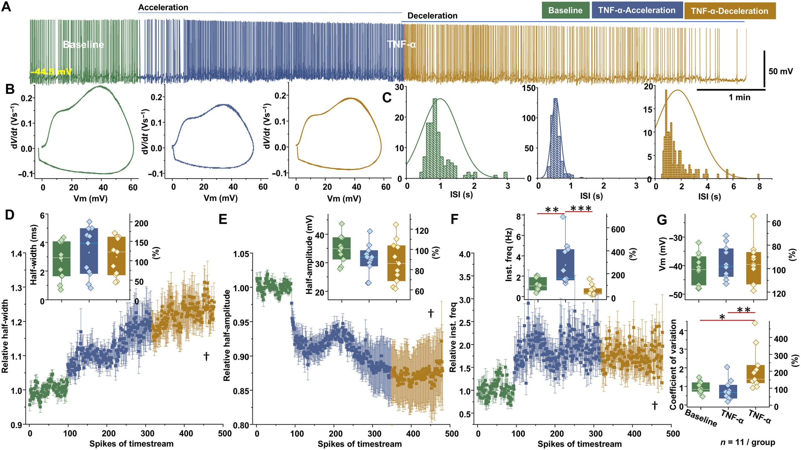 TNF-α evokes biphasic changes in the firing activity of VTA dopamine neurons.