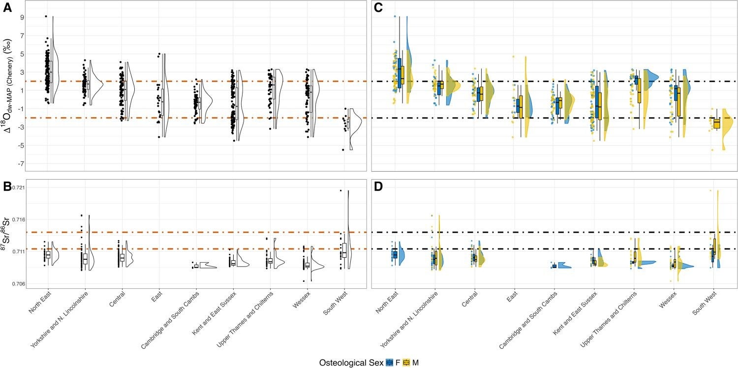 Regional tooth enamel isotopic data from early medieval England.