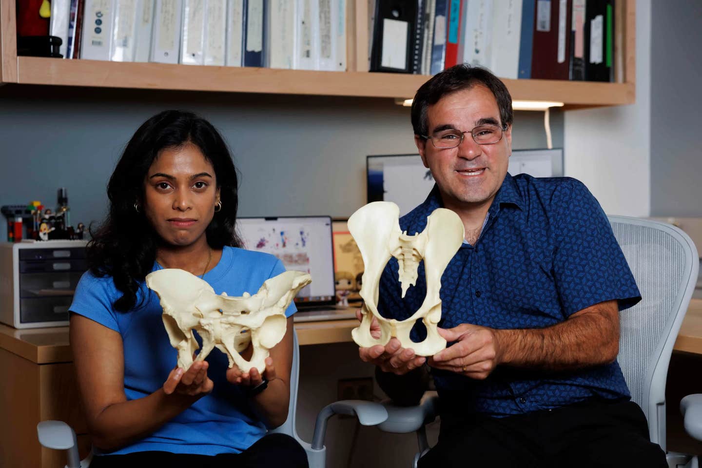 Gayani Senevirathne (left) holds the shorter, wider human pelvis, which evolved from the longer upper hipbones of primates, which Terence Capellini is displaying.