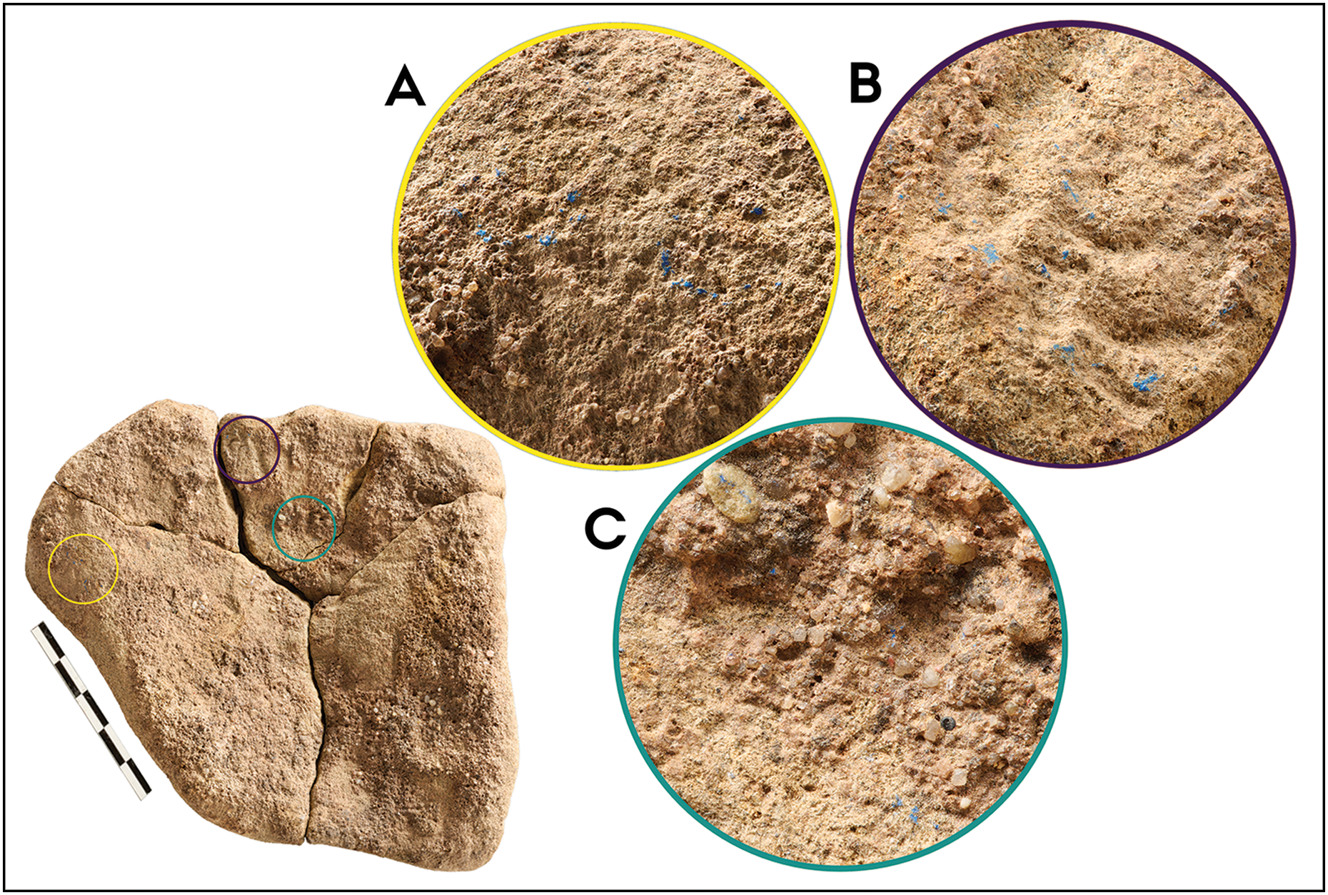 The three areas of blue residue present on the sandstone layer of the stone artefact from Mühlheim-Dietesheim. 