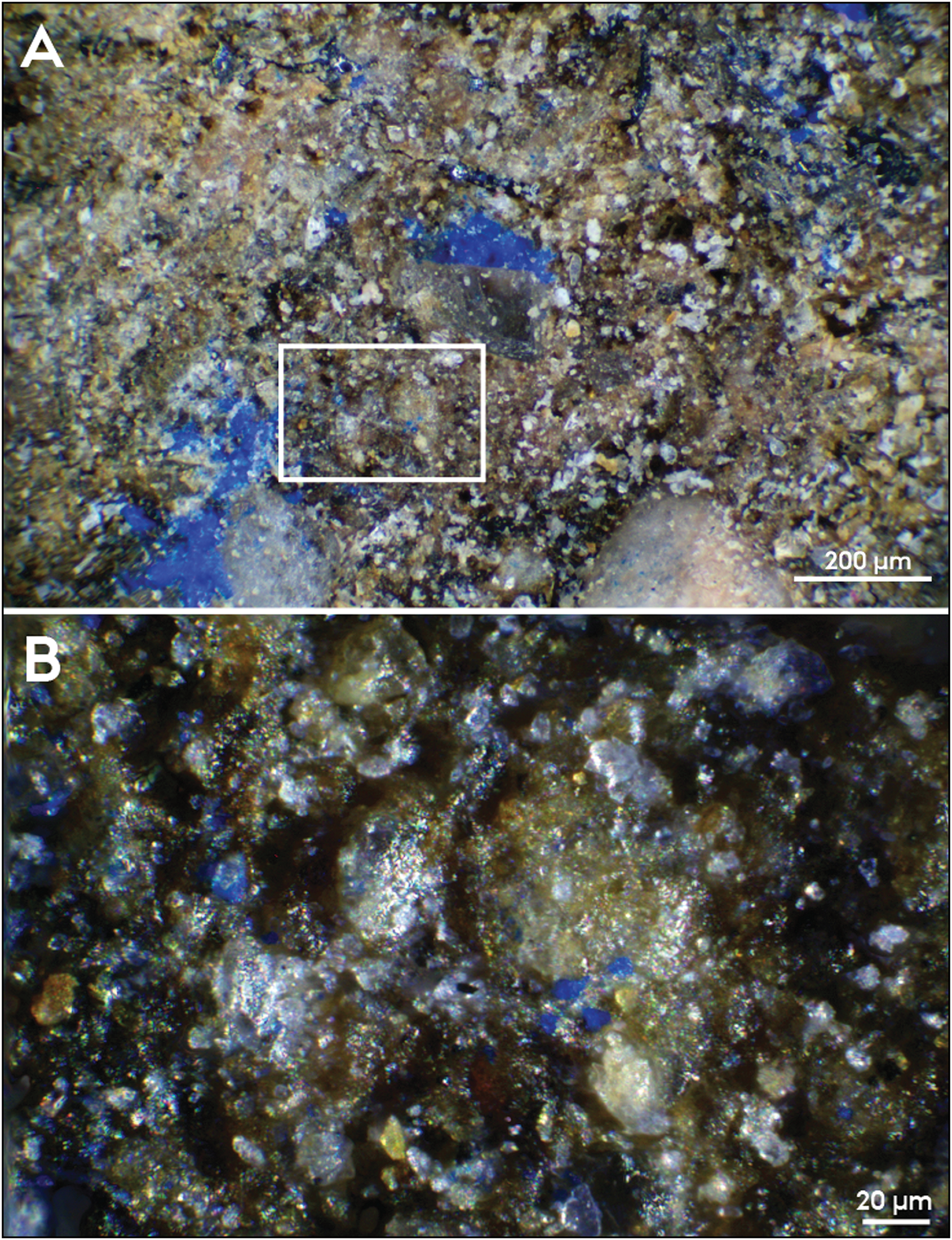 Microscopic image of nano-sized specks of blue residue, directly adjacent to visible concentrations that correspond to area A in Figure 1. B shows the area in the white rectangle under greater magnification (figure by authors).

