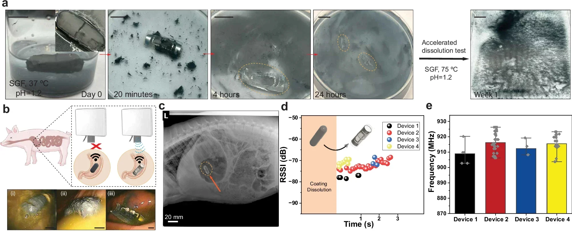 In vivo demonstration of bioresorbable cellulose-based RFID tag.