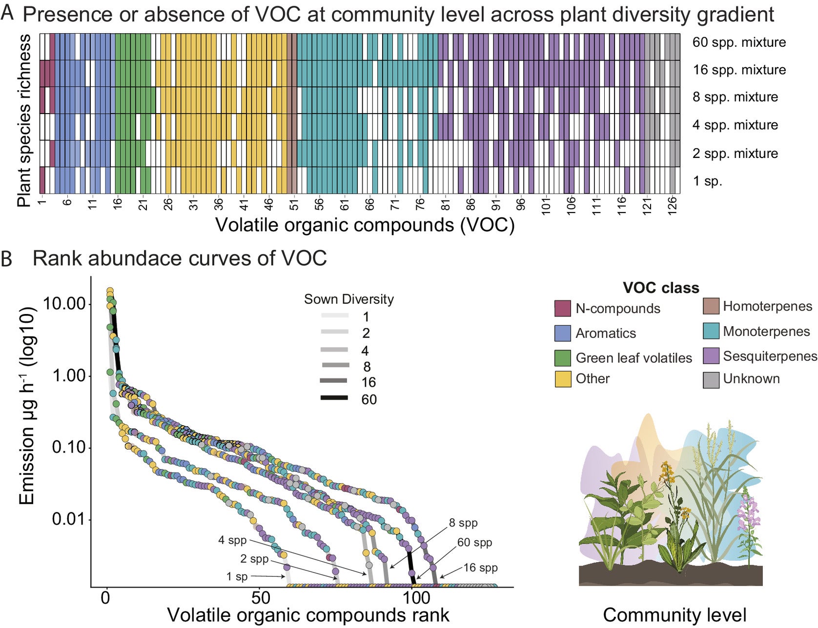 Volatile organic compound (VOC) profiles at the community level across the plant diversity gradient. 