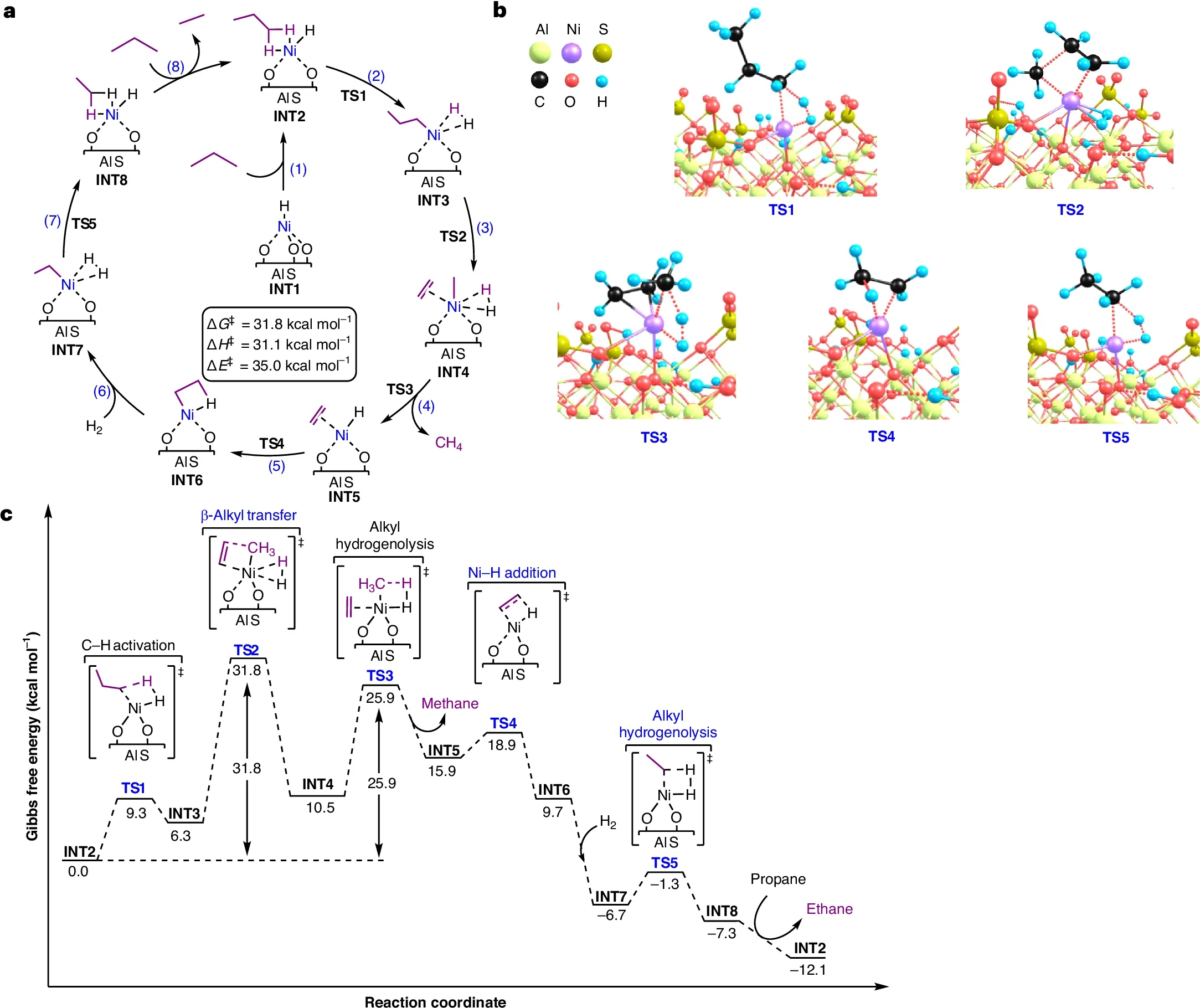 DFT analysis of propane hydrogenolysis catalysed by AlS/NiH.