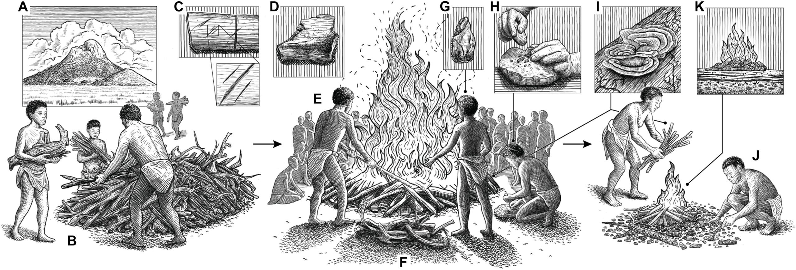 Sequence of events leading to the formation of the cremation feature at HOR-1. (A) Site location at an inselberg, a natural monument. (B) A large quantity of wood was collected to construct the pyre, suggesting communal labor. (C) Cutmarks on bone show parts of the body were defleshed. (D) Human remains display black coloration and curved transverse fractures, indicating some moisture in the remains. (E) The pyre and body at Cluster 1 were actively disturbed during burning, creating Cluster 2. (F) High temperatures were maintained by attendees adding additional fuel. (G) Convergent points are uniquely associated with the cremation. (H) Bipolar reduction dominates a lithic assemblage that occurs in higher concentrations with the remains than in the rest of the ash feature. (I) The presence of carbonized Ganoderma and the remnants of termite tunnels indicates the use of deadwood as the primary fuel. (J) The absence of cranial and dental remains suggests these may have been collected and removed. (K) Multiple fires were relit atop the original pyre location within communal memory.