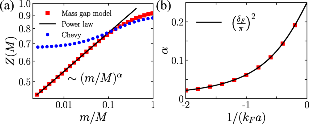 Emergence of the quasiparticle weight. Quasiparticle weight Z of the attractive polaron as a function of the mass ratio m/M.