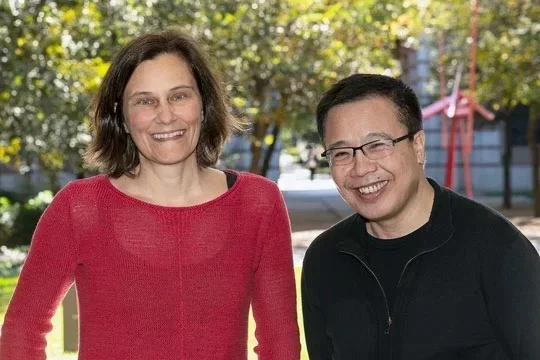 Professor Silke Bühler-Paschen from TU Wien and professor Qimiao Si from Rice University.
