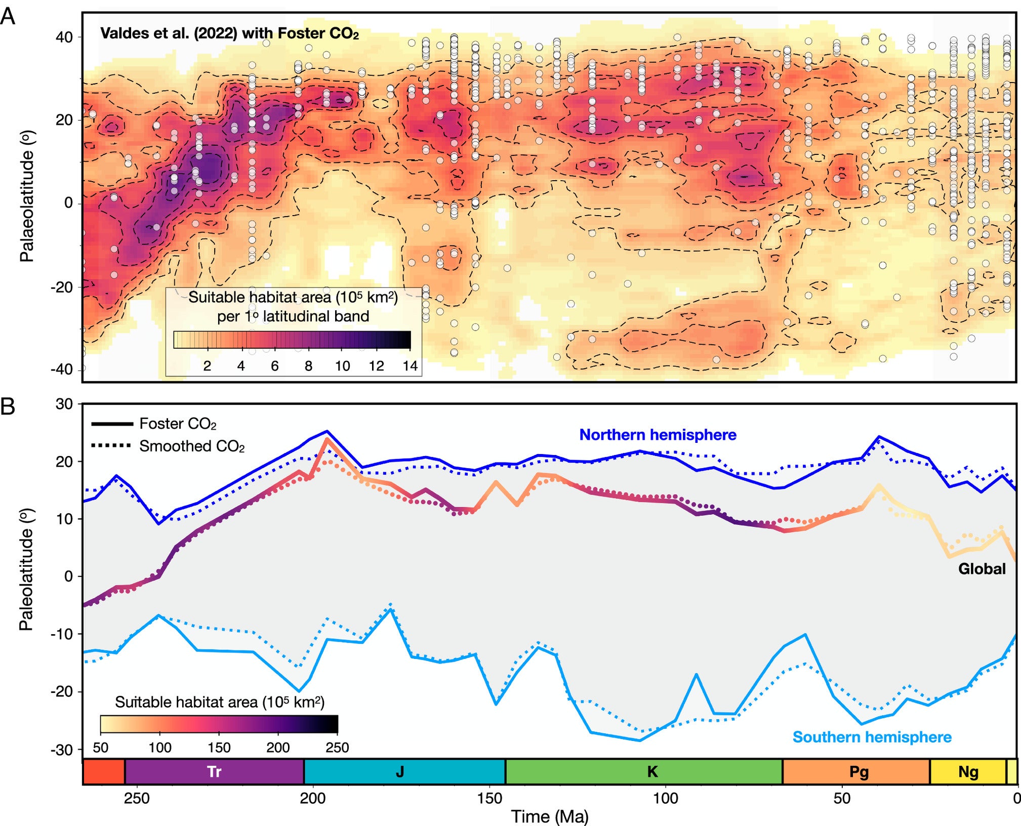 Latitudinal and temporal evolution in warm-water carbonate habitability over the Meso-Cenozoic.