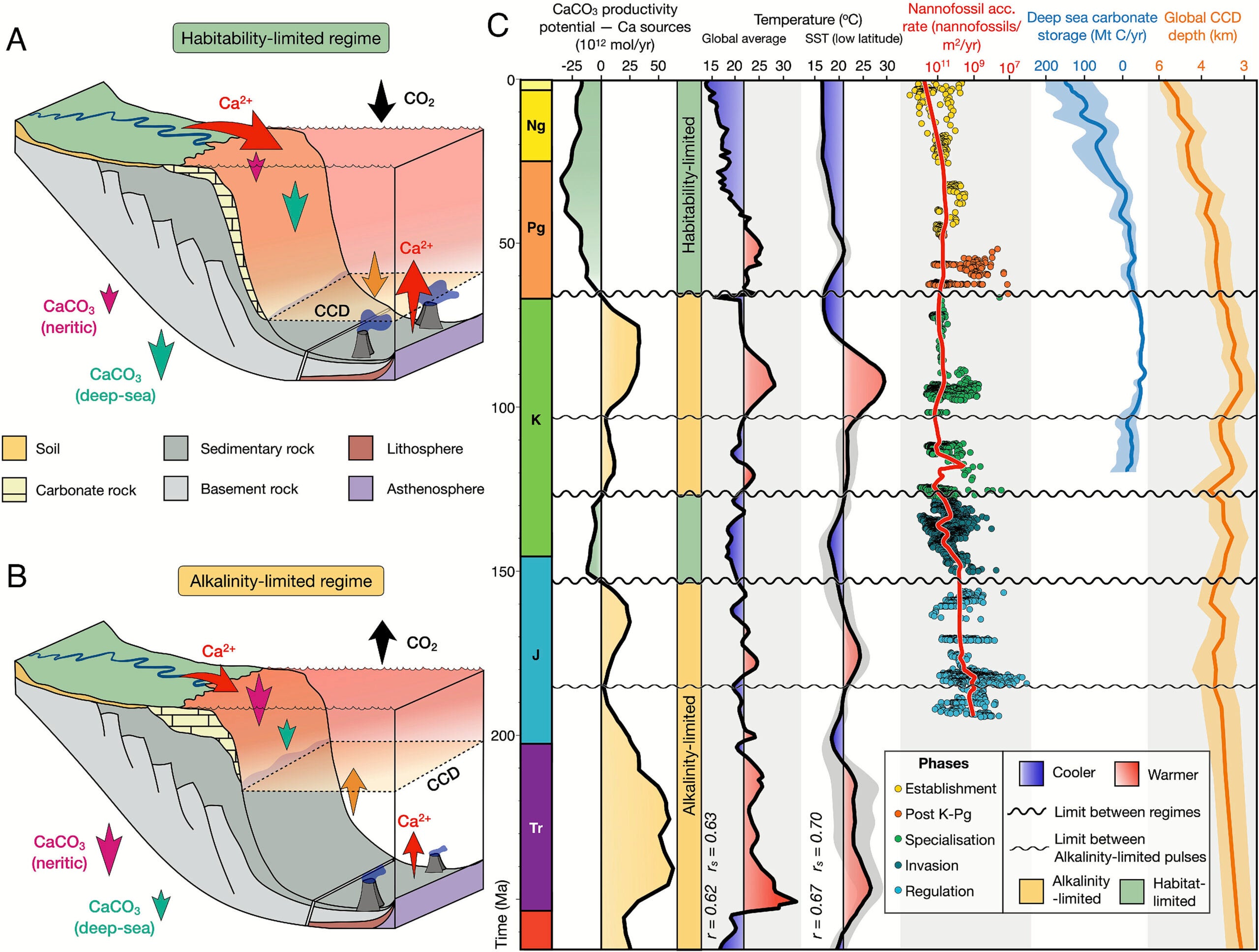 Habitability- and alkalinity-limited regimes and implications on the carbonate compensation depth and Meso-Cenozoic climate regulation.