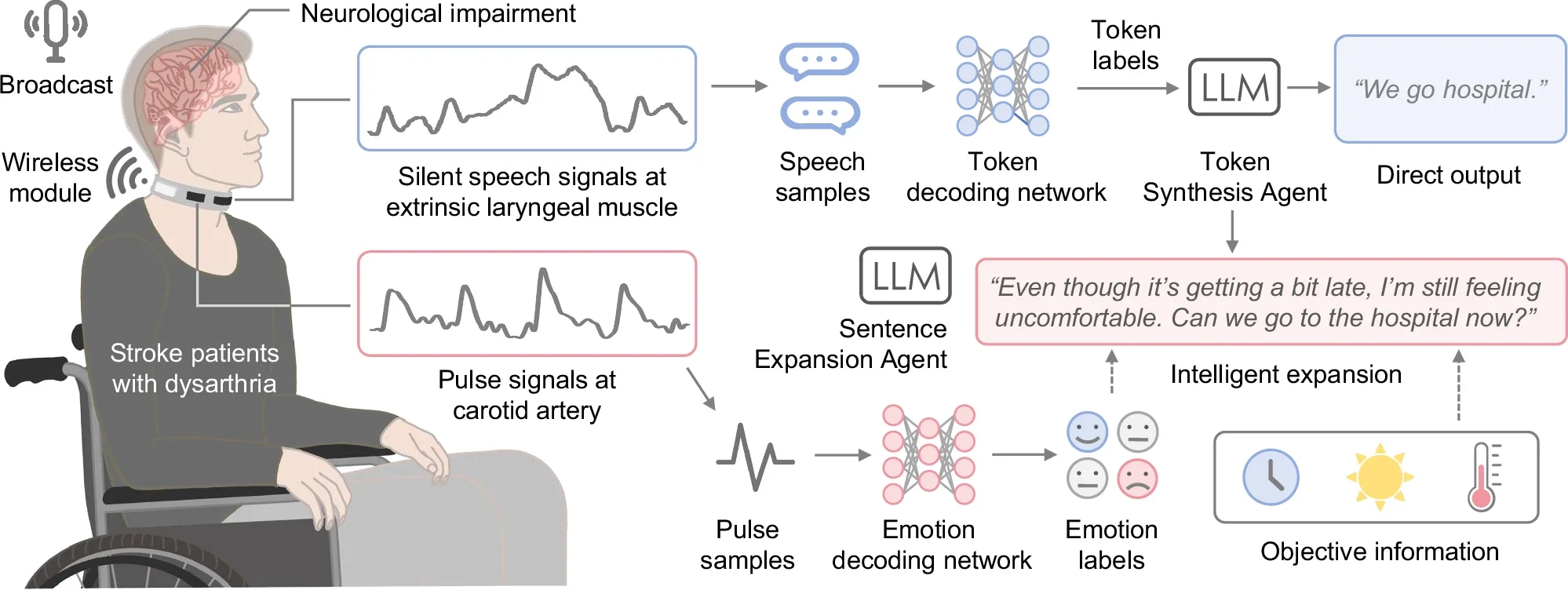Schematic of the IT developed for stroke patients with dysarthria.