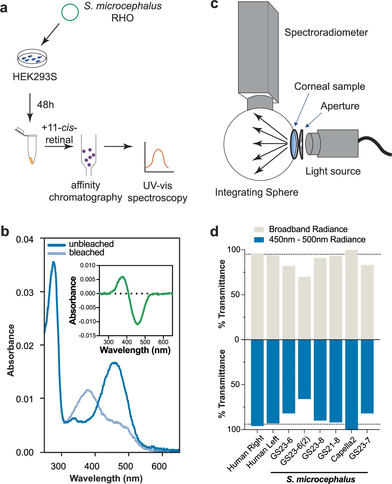 Visual pigment spectral sensitivity and corneal transmission in the Greenland shark.