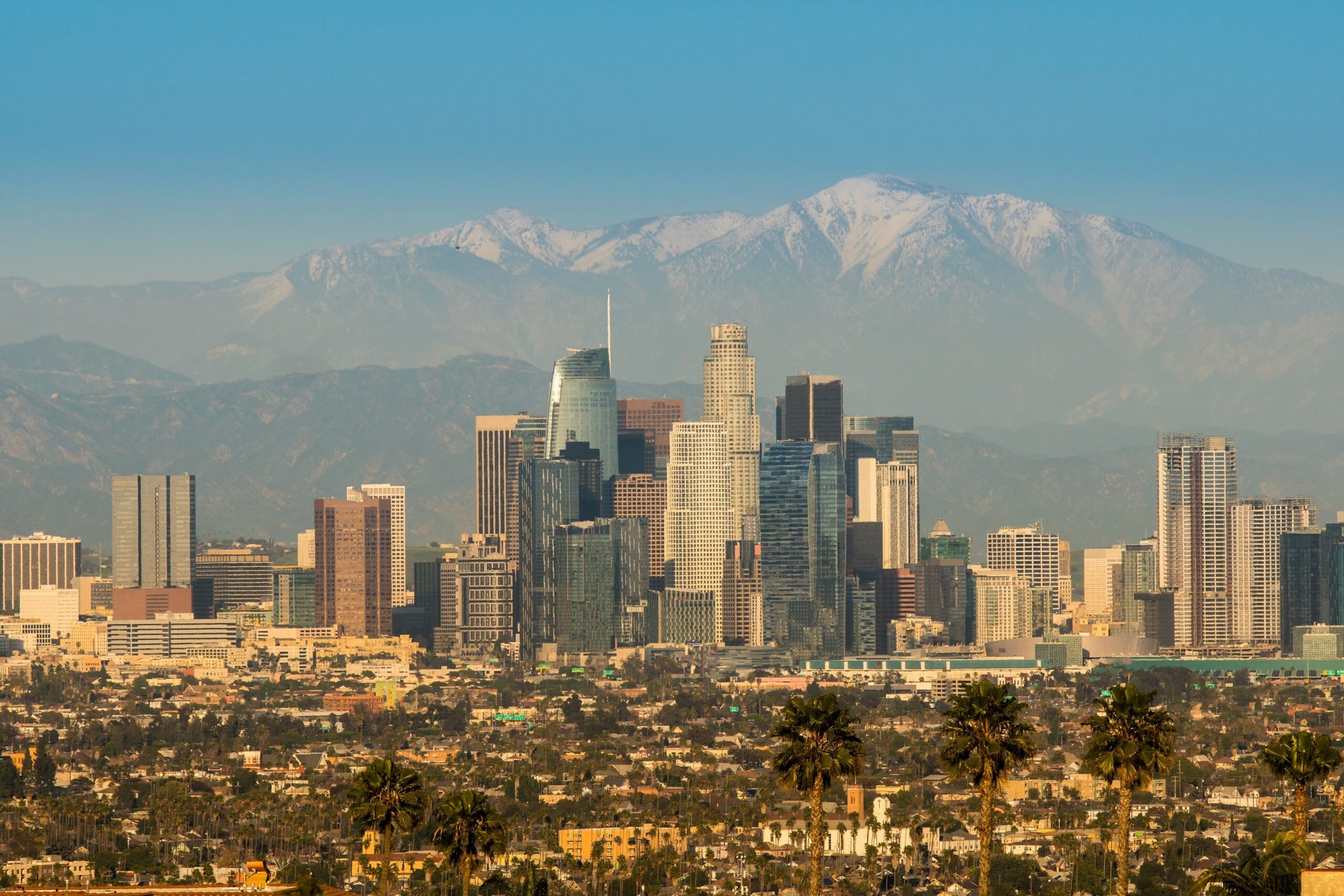 Los Angeles Ranks Among the World's Best Cities: A Beacon of Resilience and Opportunity