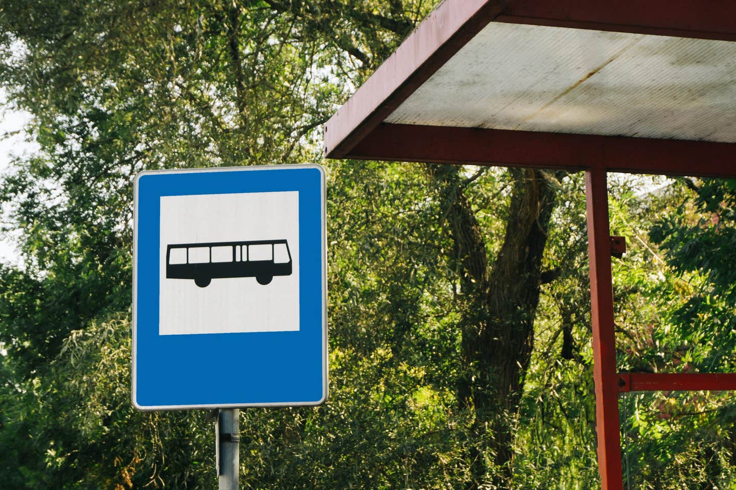 A University of British Columbia study finds that riders feel cooler at visually pleasant, greener bus stops, showing that design and trees can soften the sting of extreme urban heat without changing the actual temperature.
