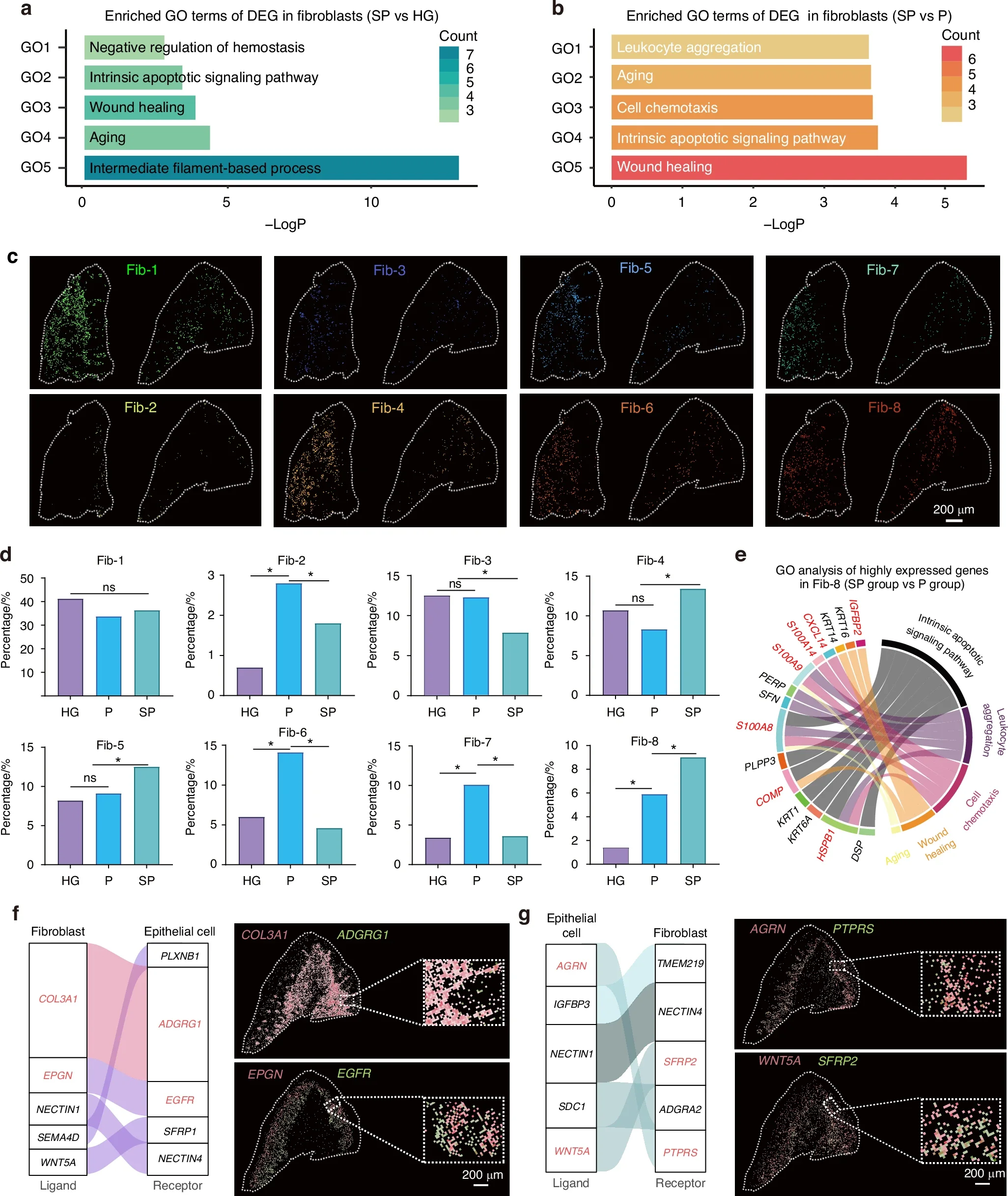 Smoking-induced fibroblast alterations and the dysregulation of fibroblast‒epithelial cell communication.